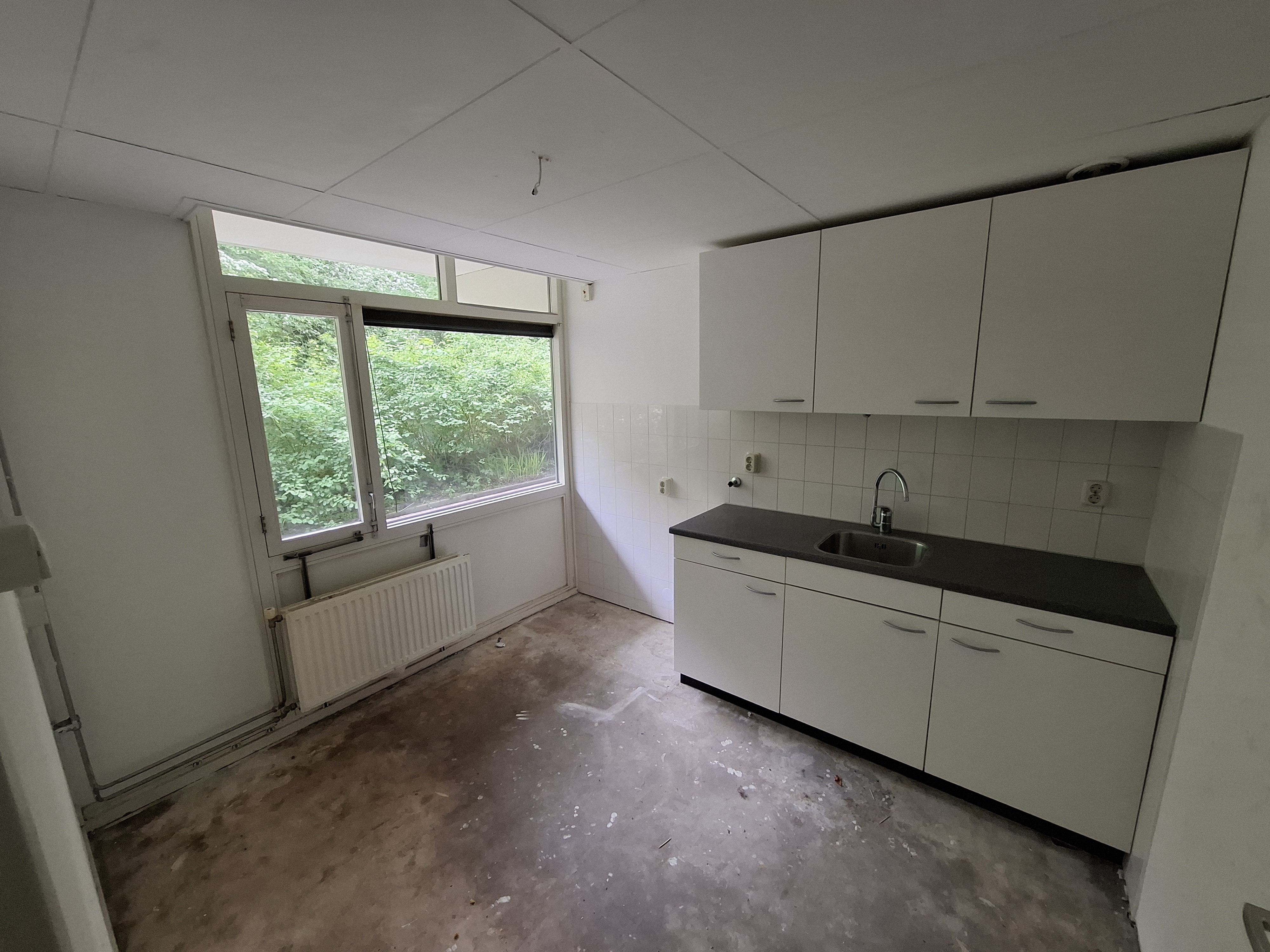 Beethovenlaan 118