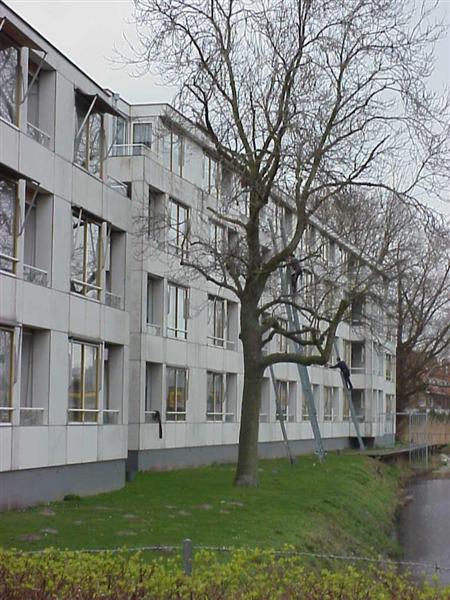 Guntersteinweg 6, 2531 RH Den Haag, Nederland
