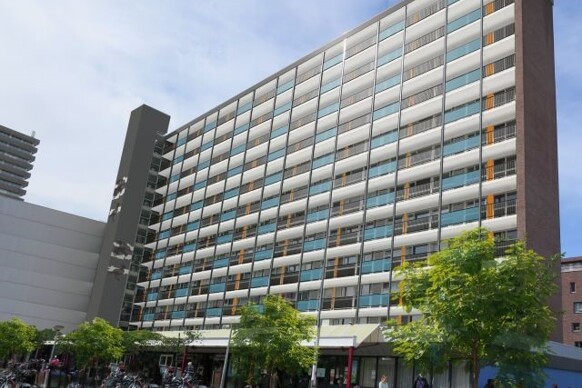 Papsouwselaan 430