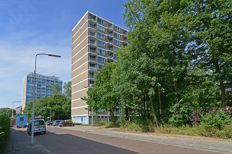 Heliotrooplaan 94, 2555 MC Den Haag, Nederland