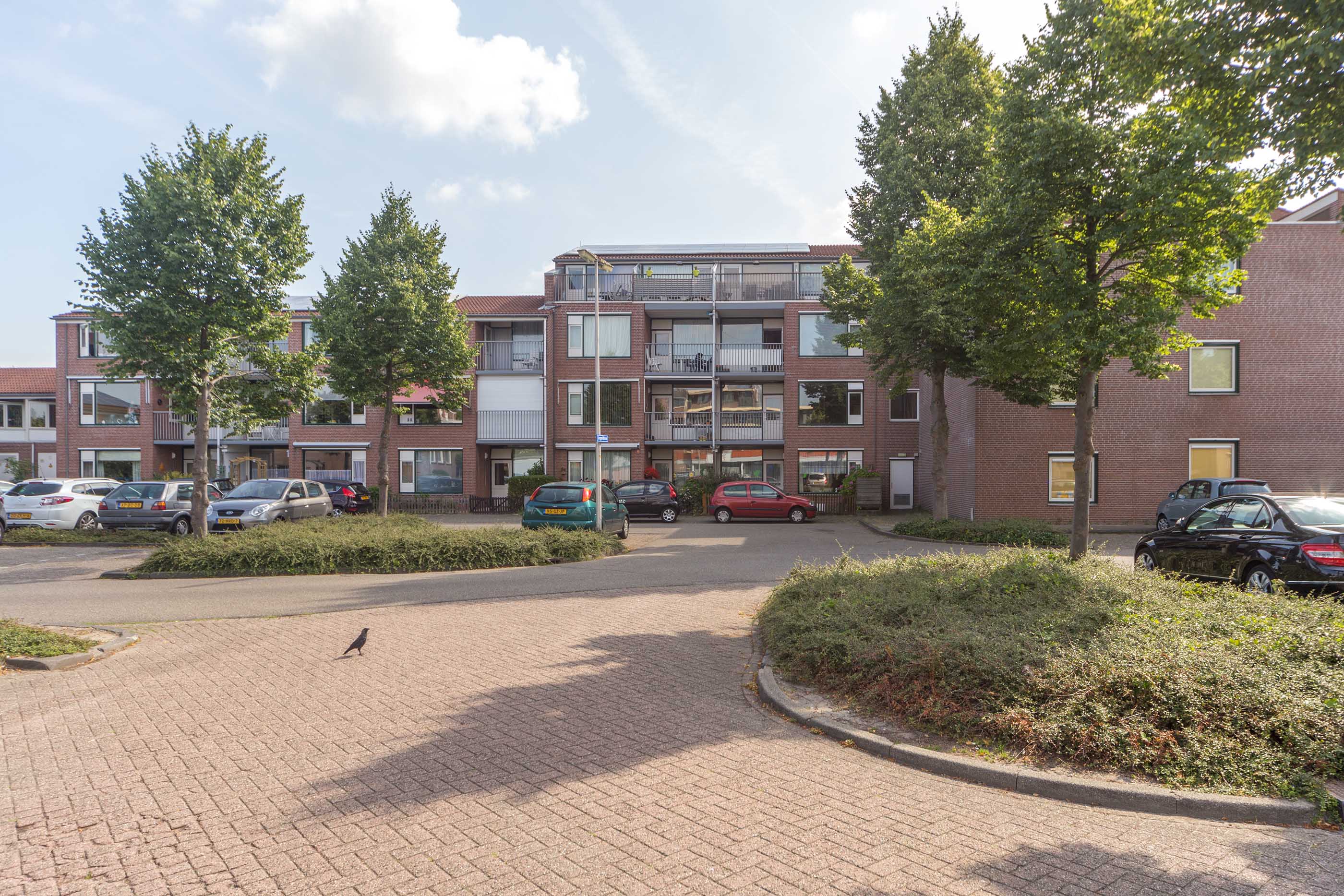Leopoldhove 241