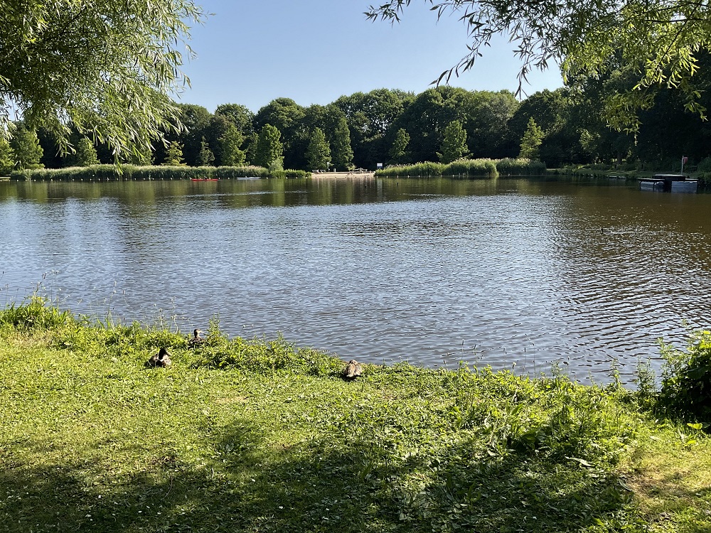 De Brink 570
