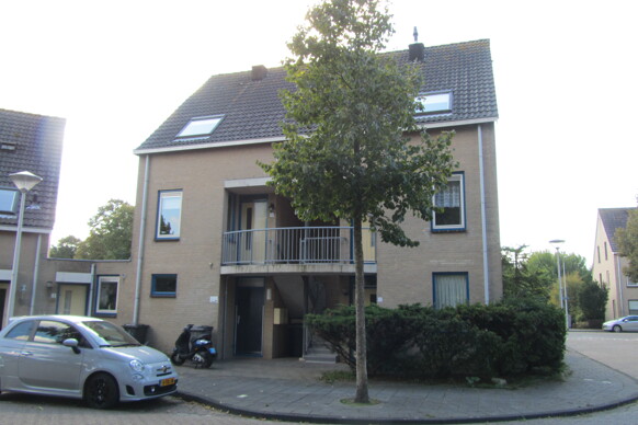 Pijlspitskreek 6