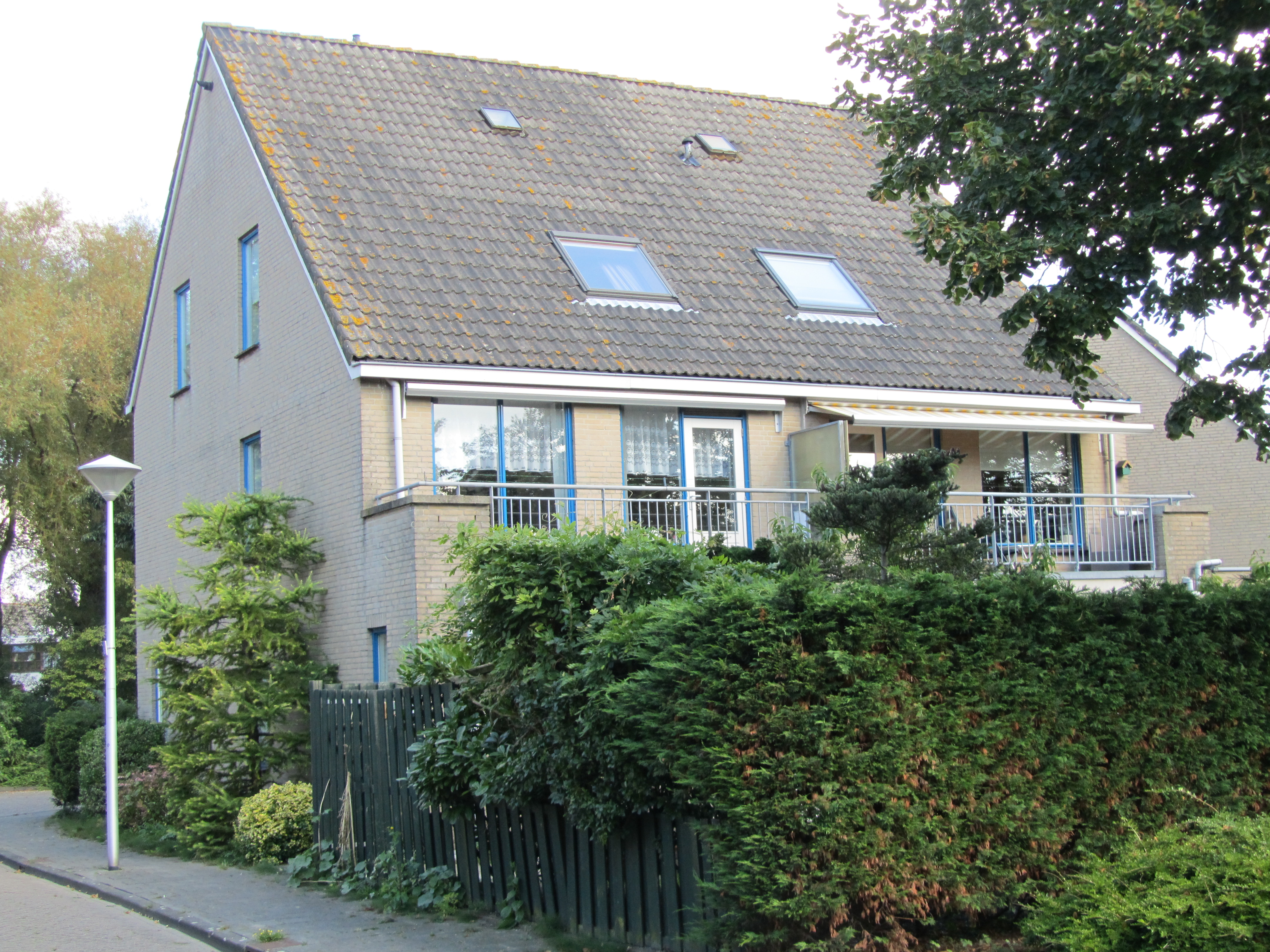 Pijlspitskreek 6