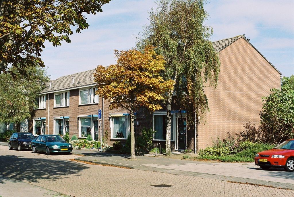 Kastanjestraat 