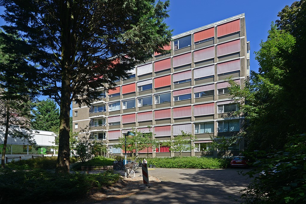 Goetlijfstraat 53, 2596 RN Den Haag, Nederland