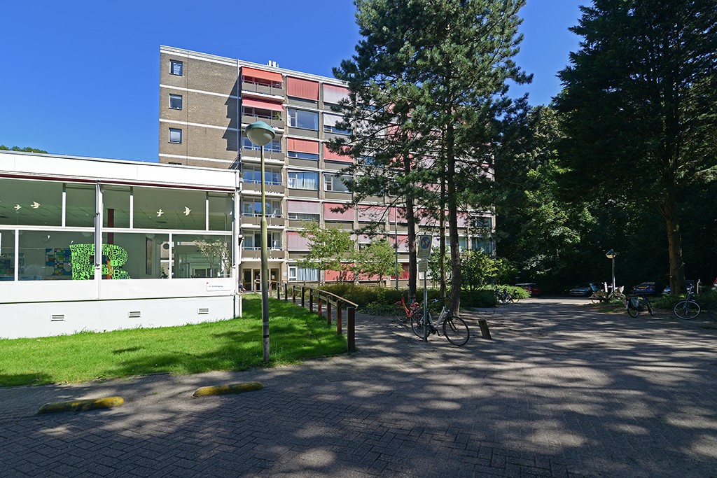 Goetlijfstraat 53