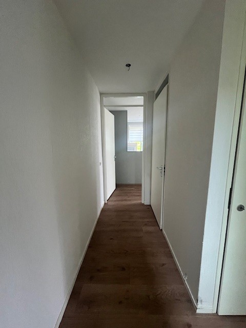 Hofsingel 64