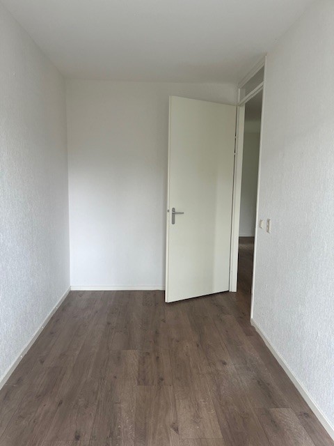 Hofsingel 64