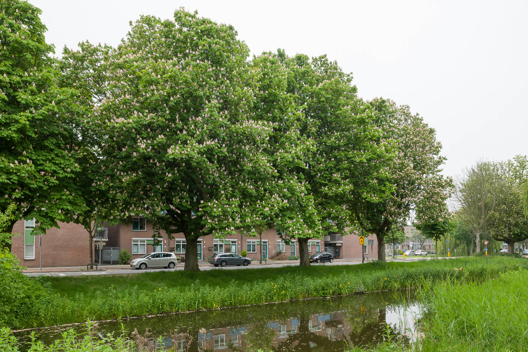 Krakeelpolderweg 102