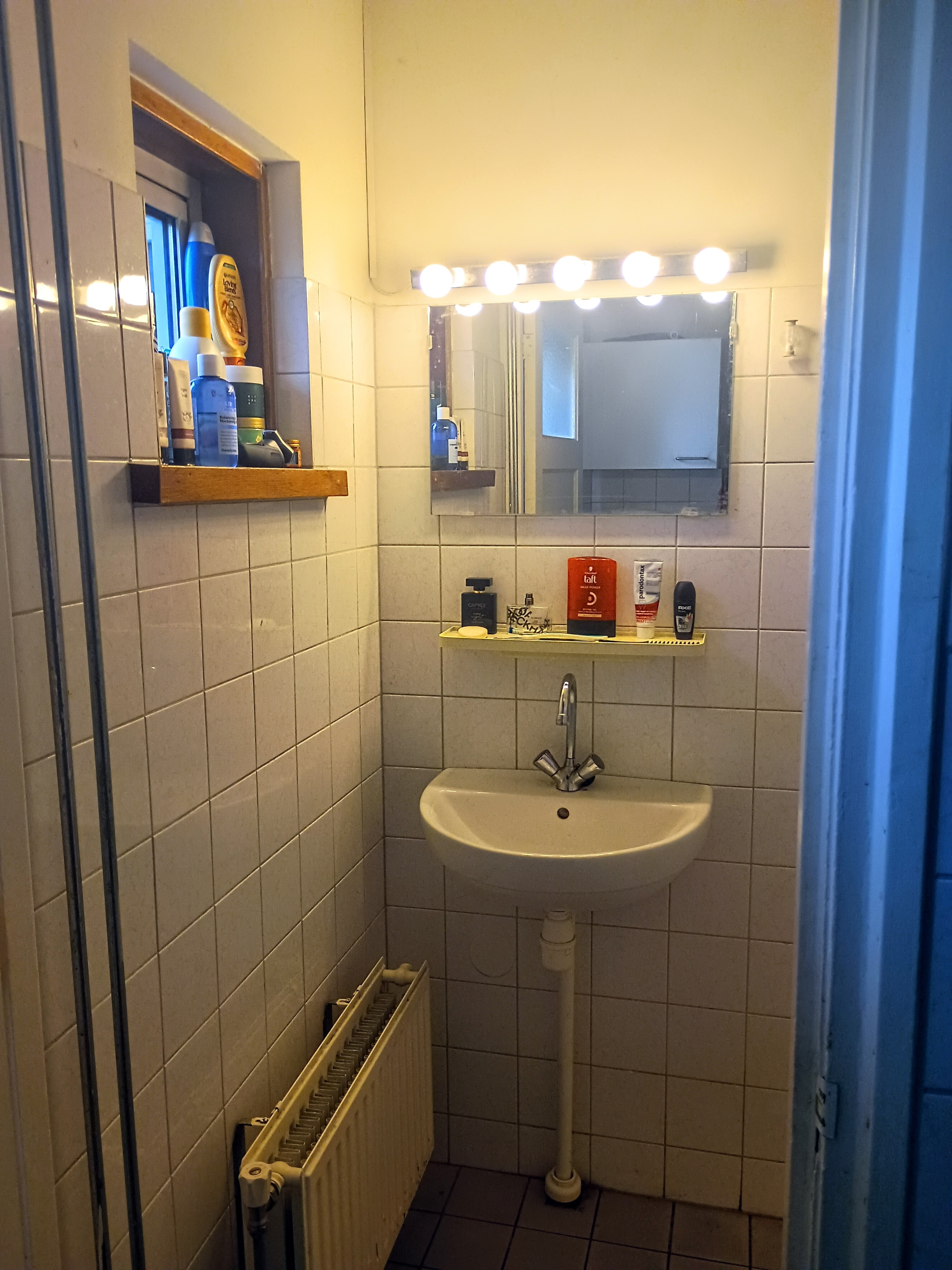 Maartensdijklaan 306