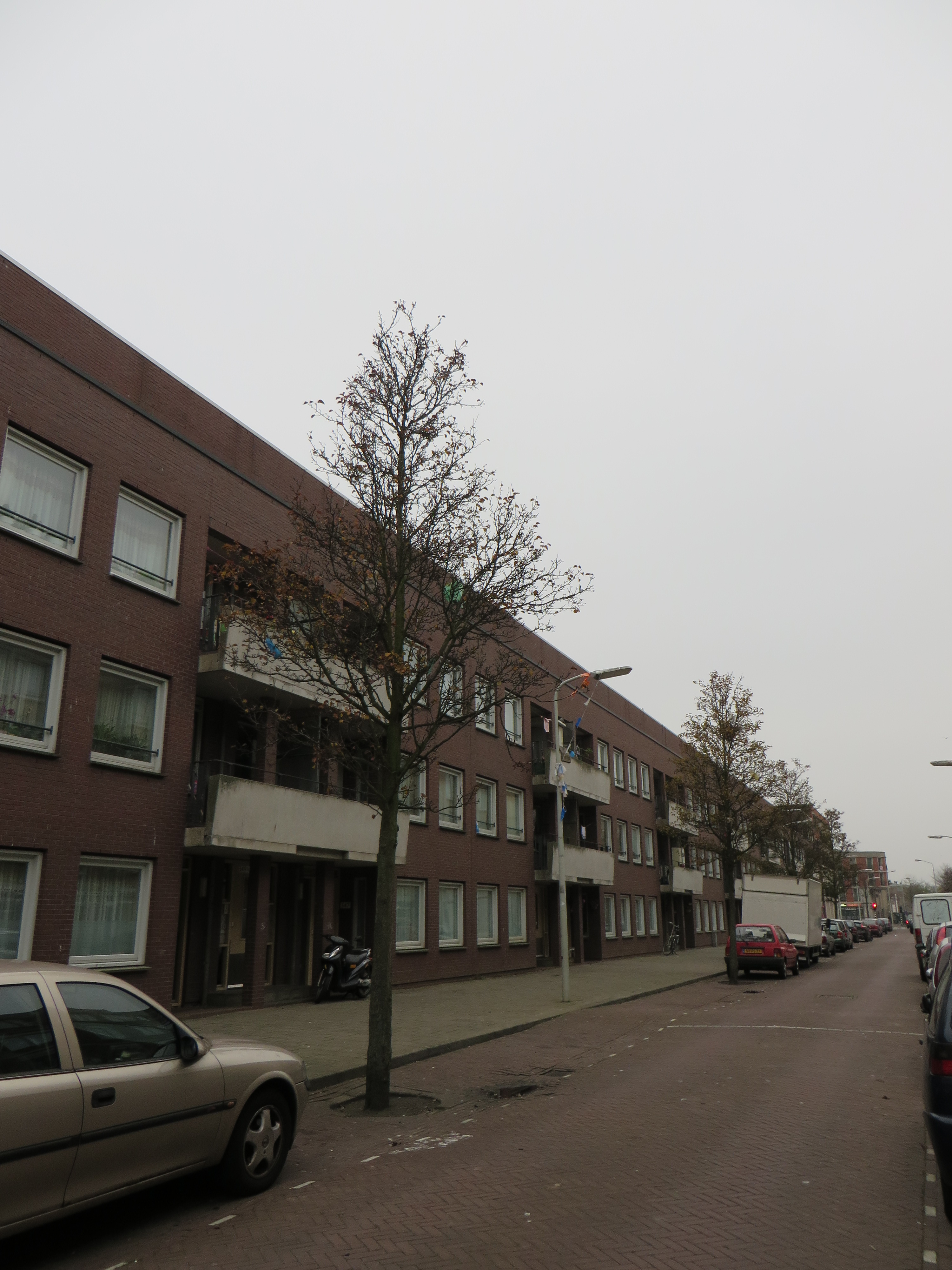 Van Ostadestraat 385, 2526 EZ Den Haag, Nederland