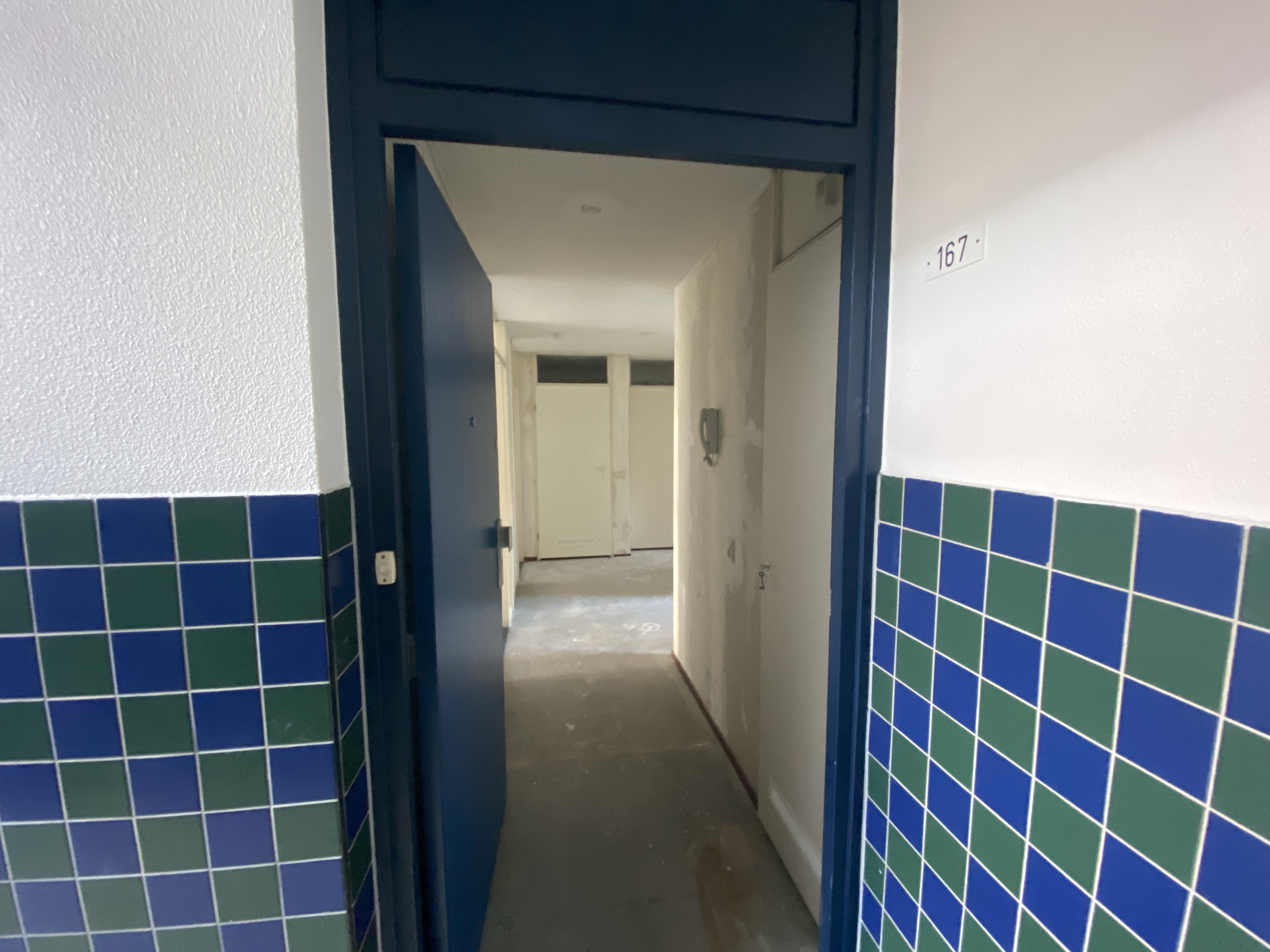 Van Mierisstraat 167