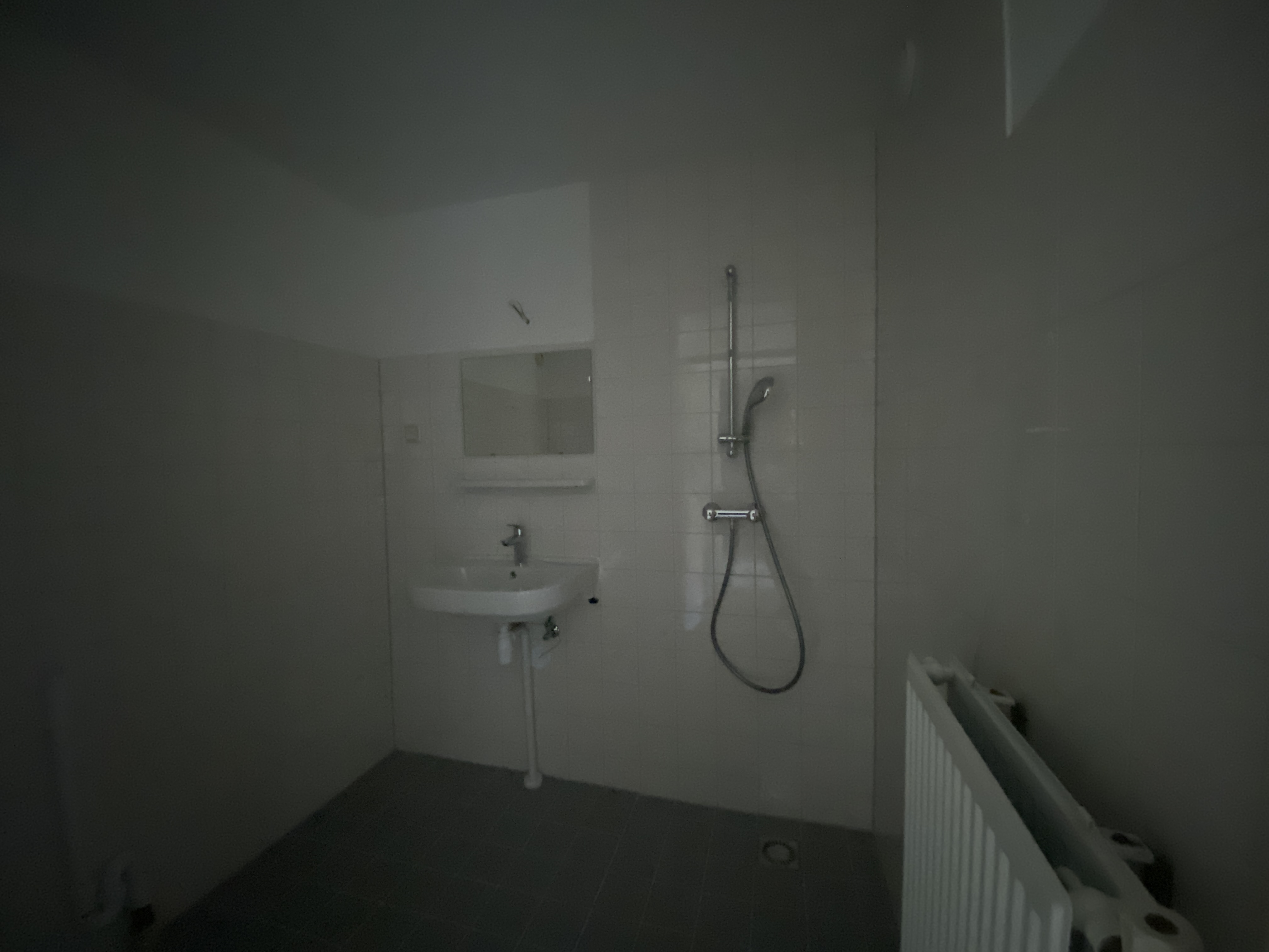 Van Mierisstraat 167