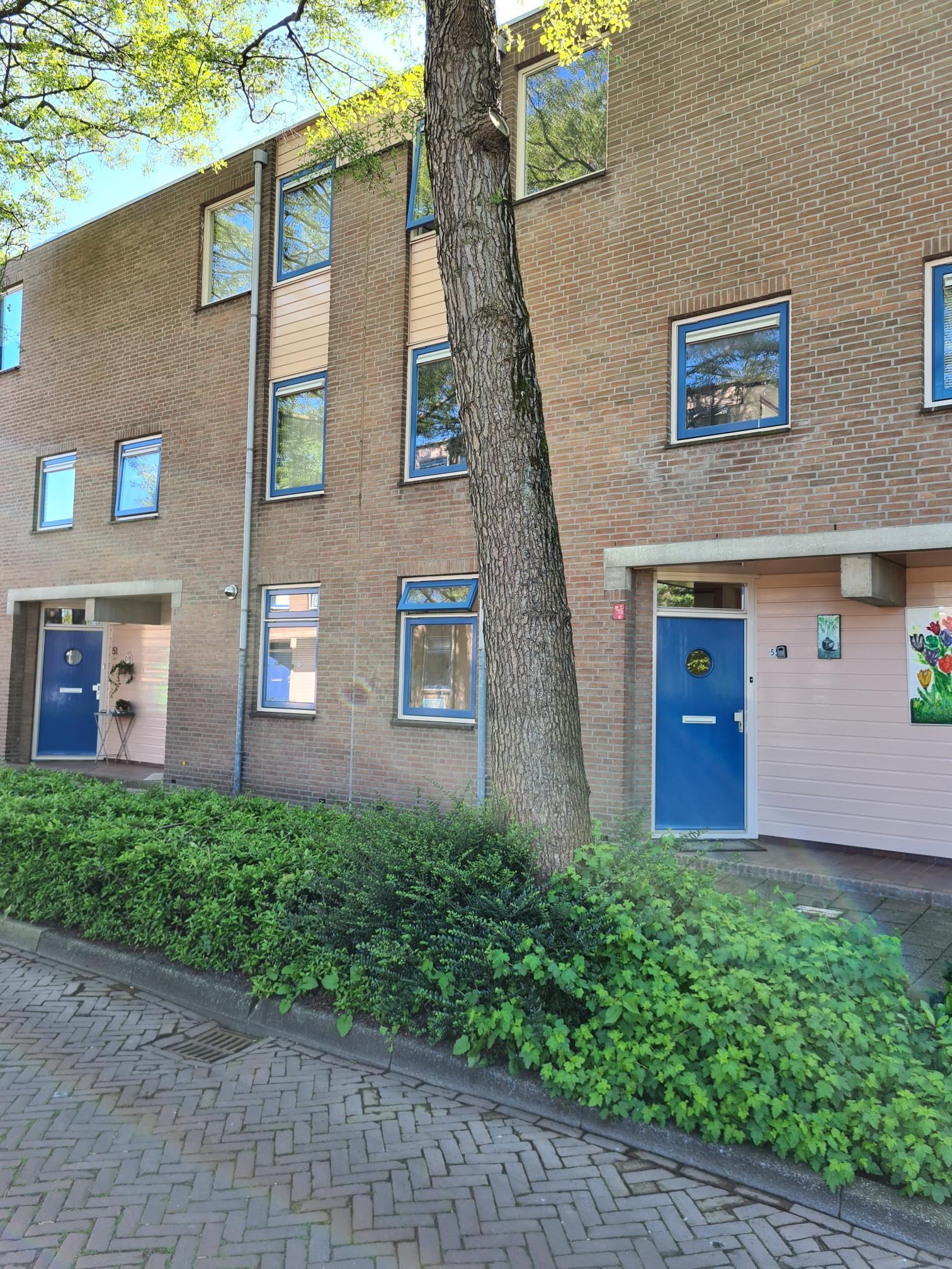 Valkehorst 45, 2675 WD Honselersdijk, Nederland