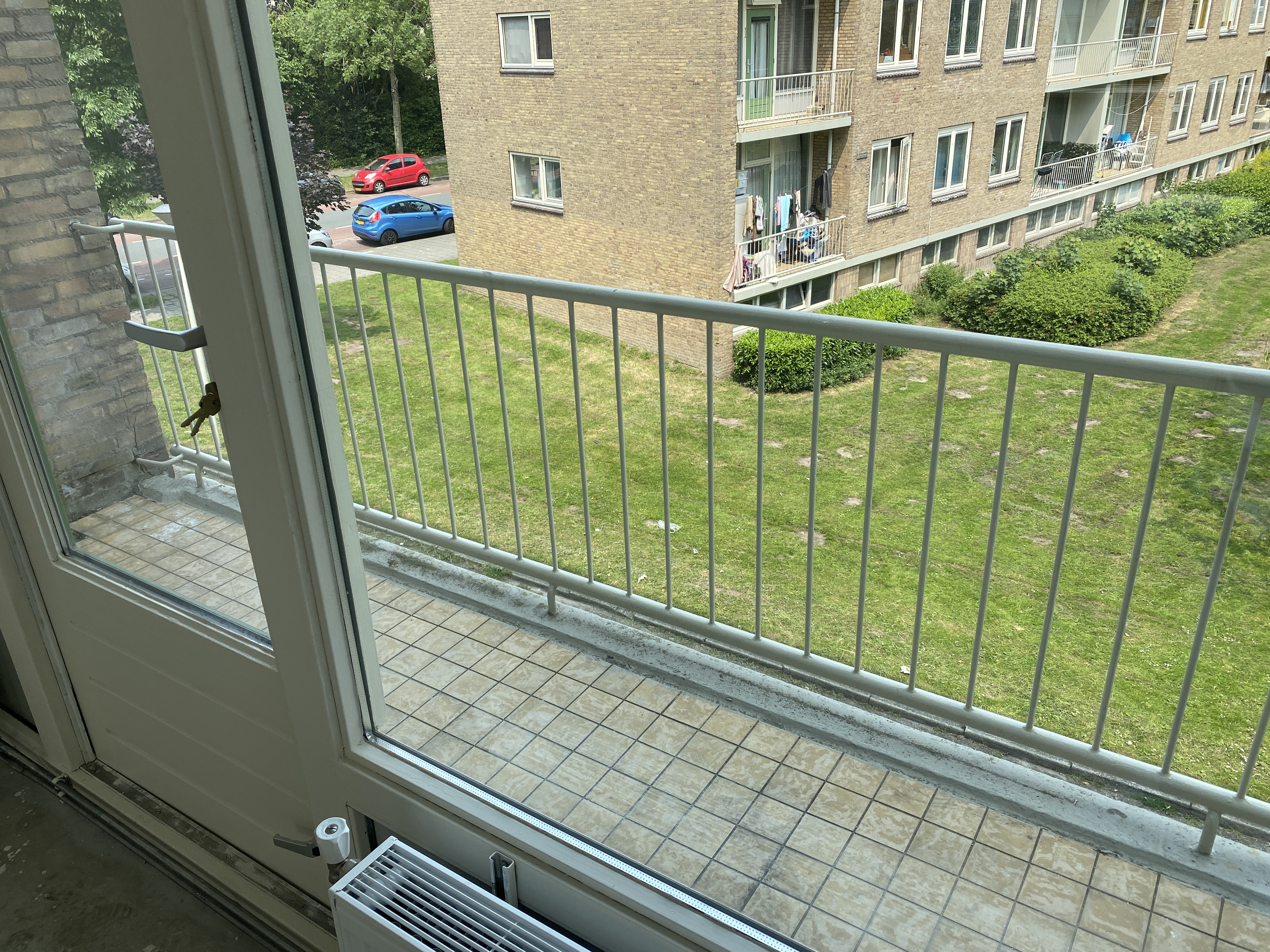Robijnhorst 108