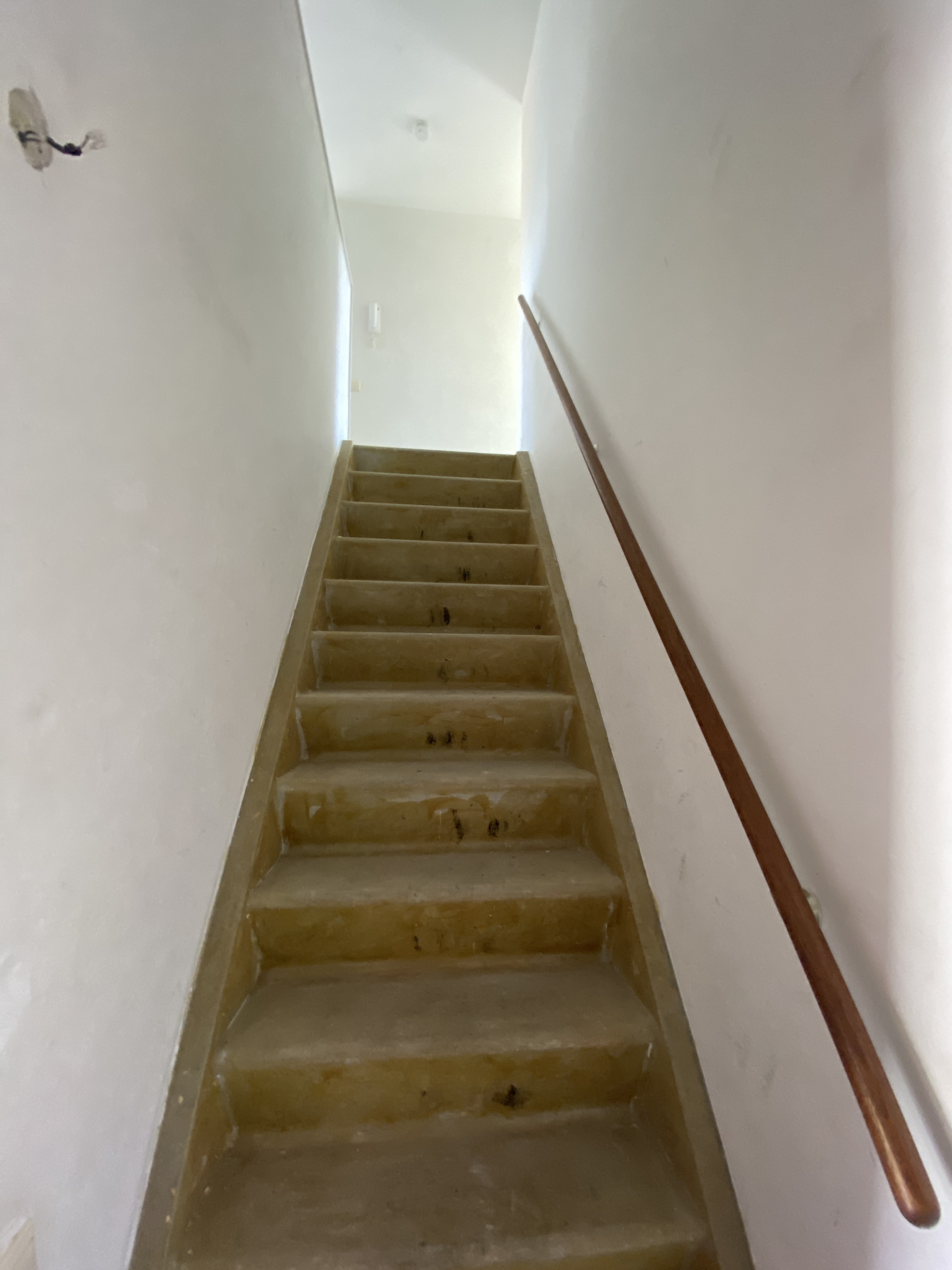 Jacob Catsstraat 398