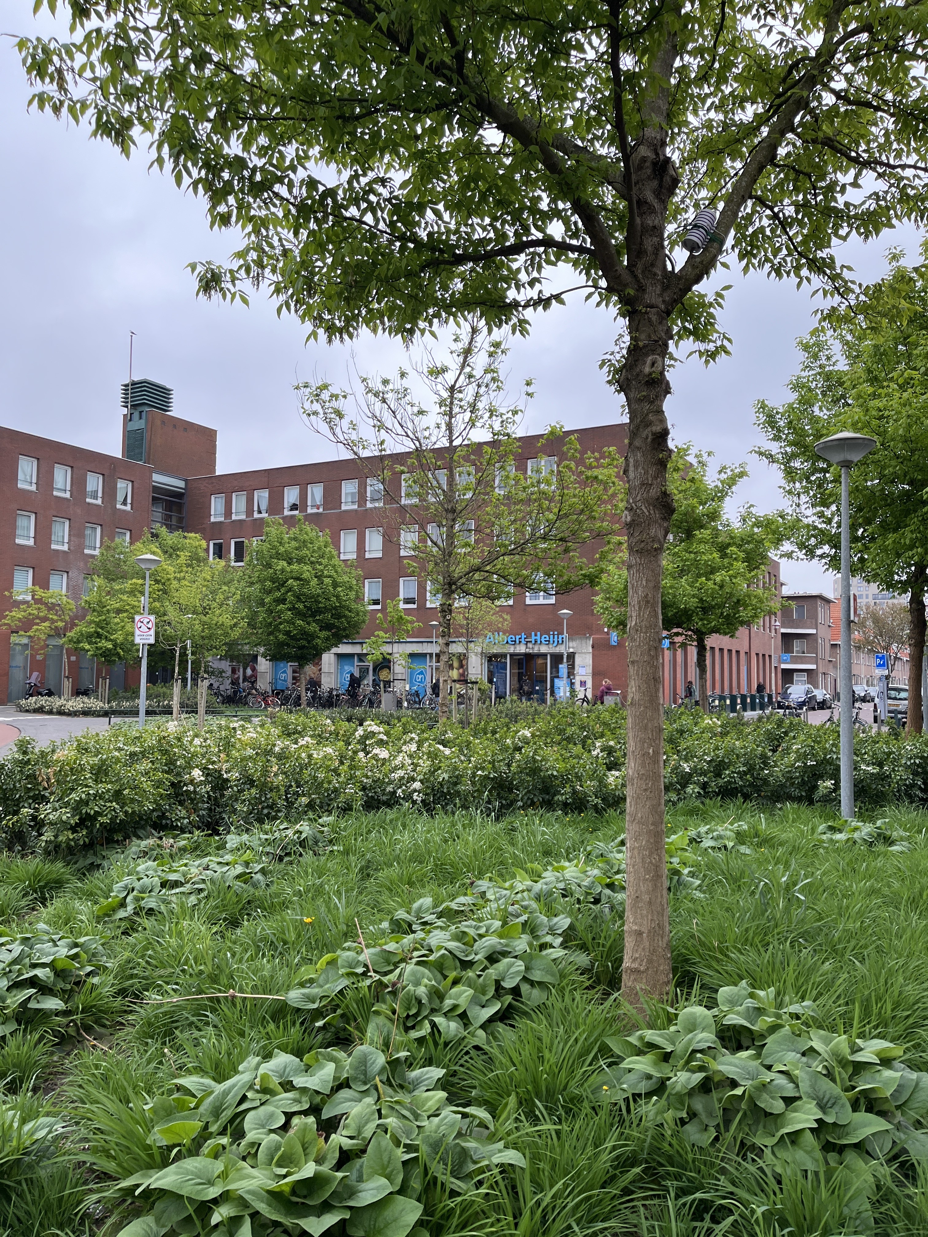Goeverneurplein 10