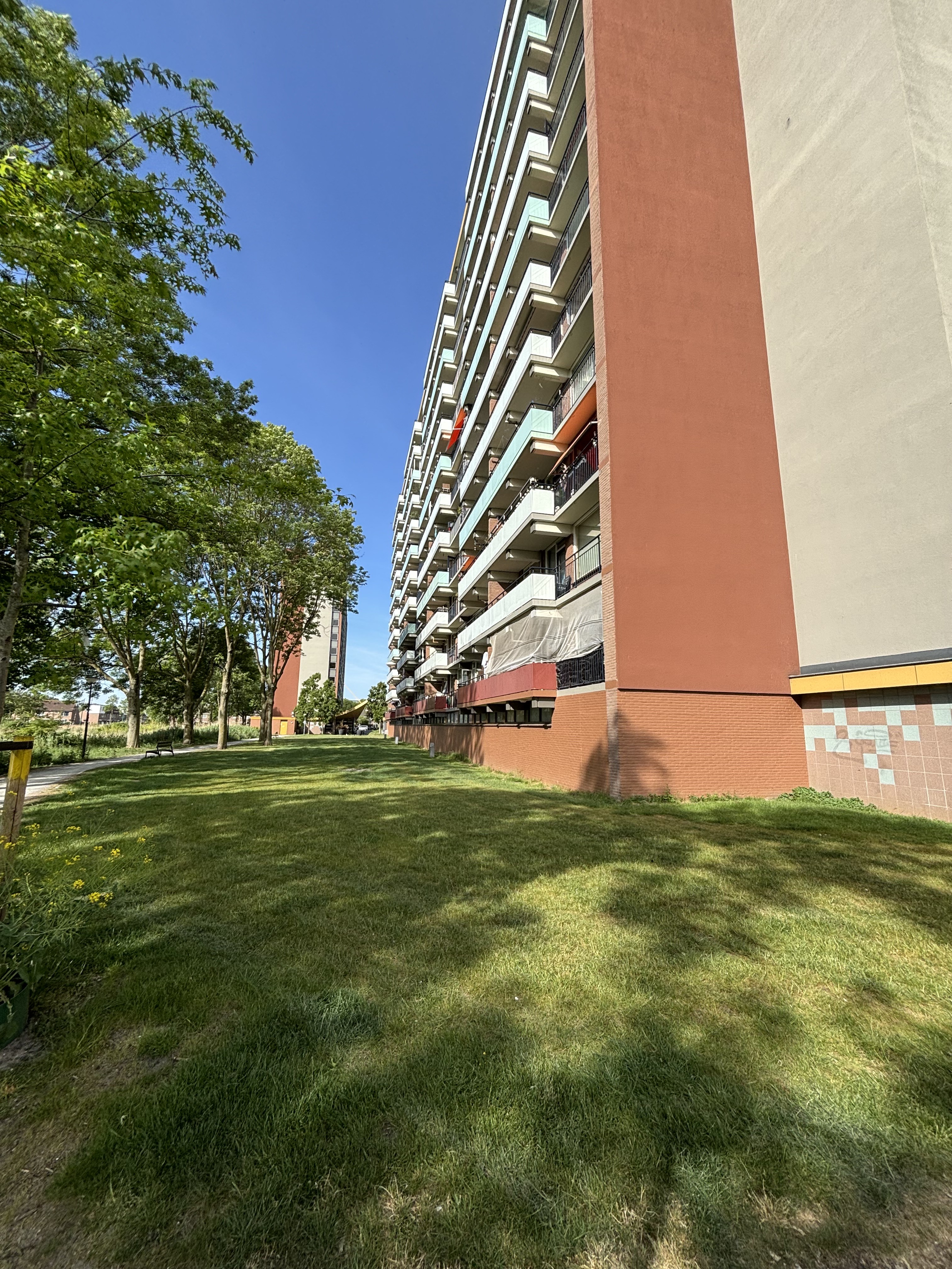 Petronella Voûtestraat 103