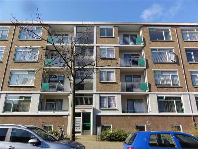 De Dreef 167, 2542 ND Den Haag, Nederland