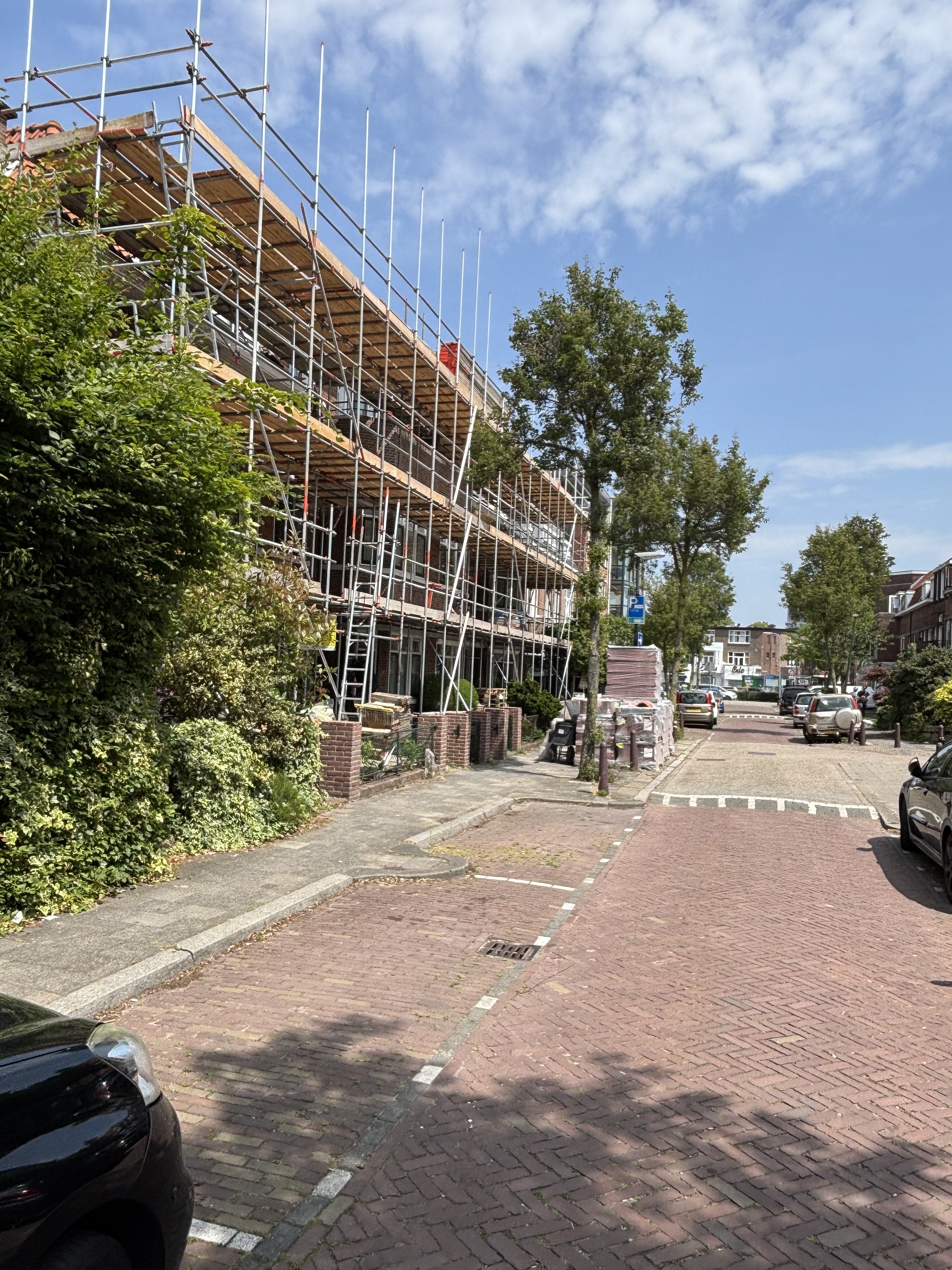 Tulpstraat 119