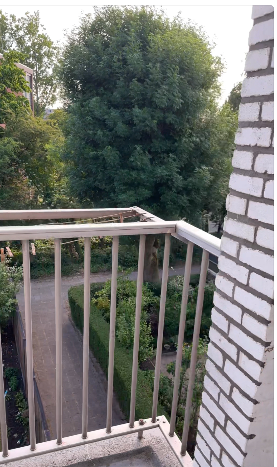 Schrobbelaarstraat 22