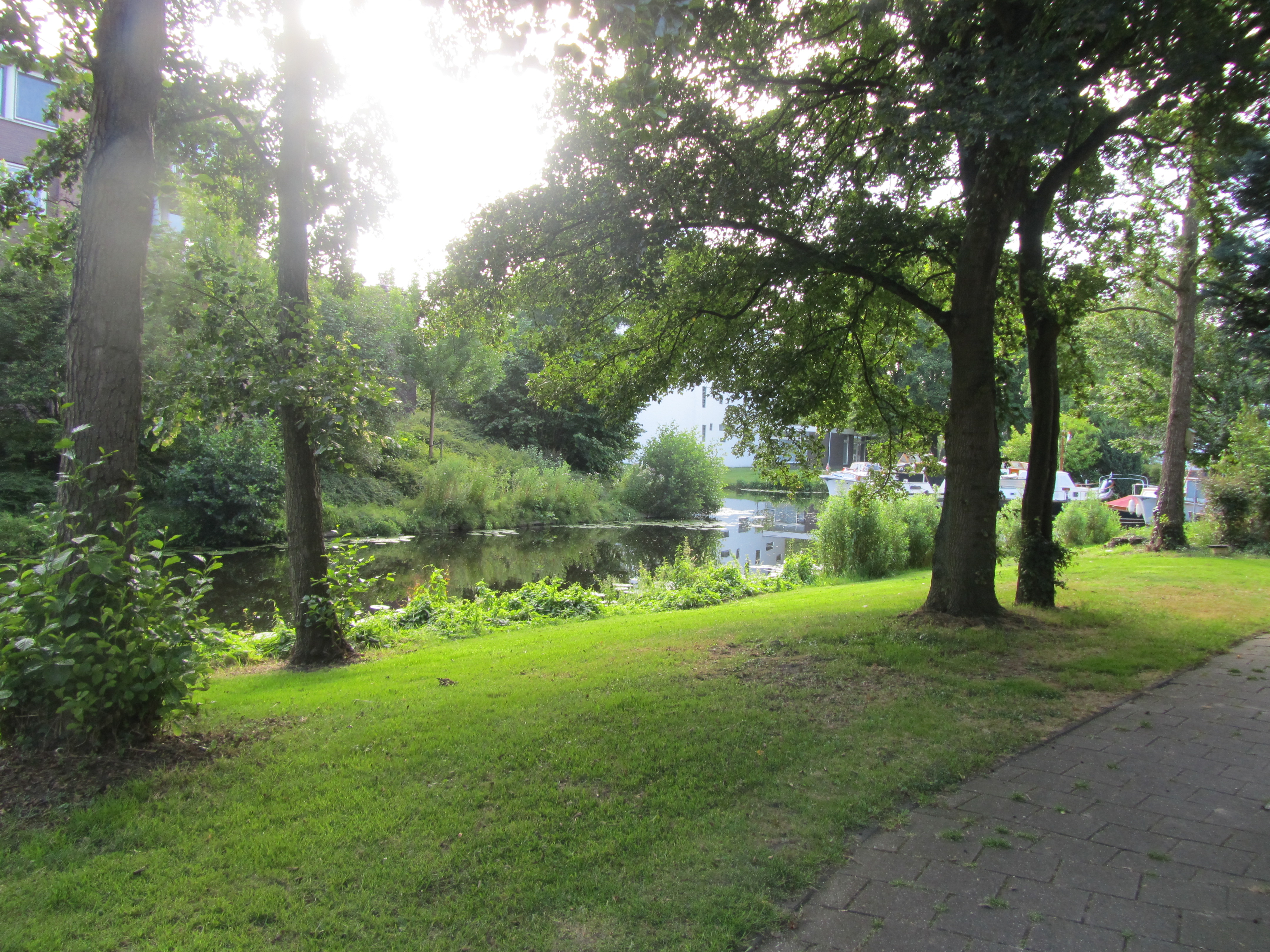 Wiegmanweg 42