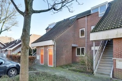 Kikkersloot 42