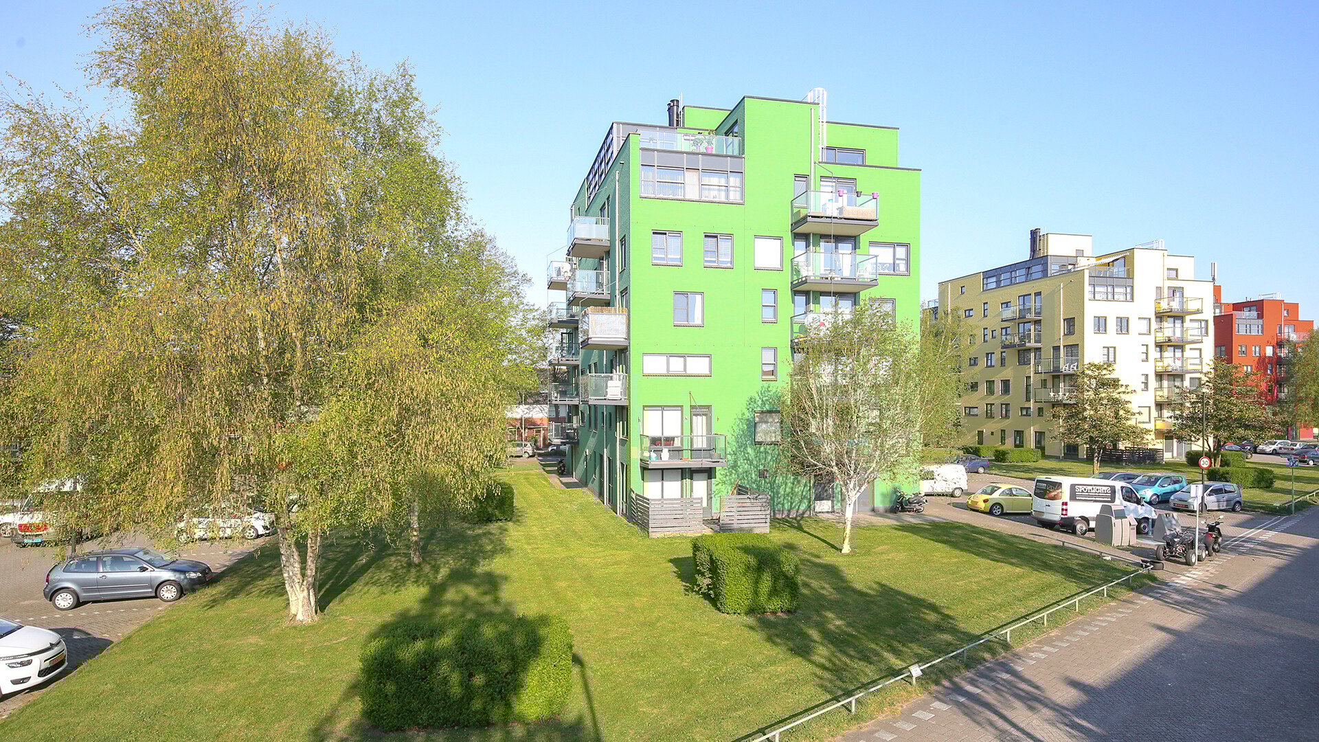 Iepehout 25