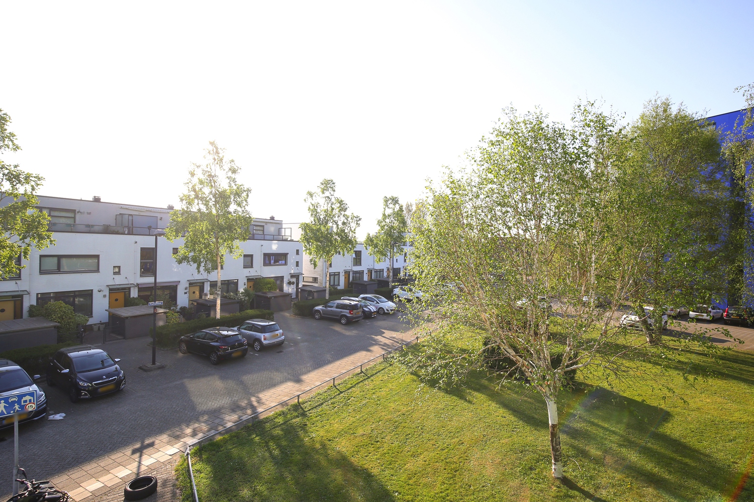 Iepehout 25