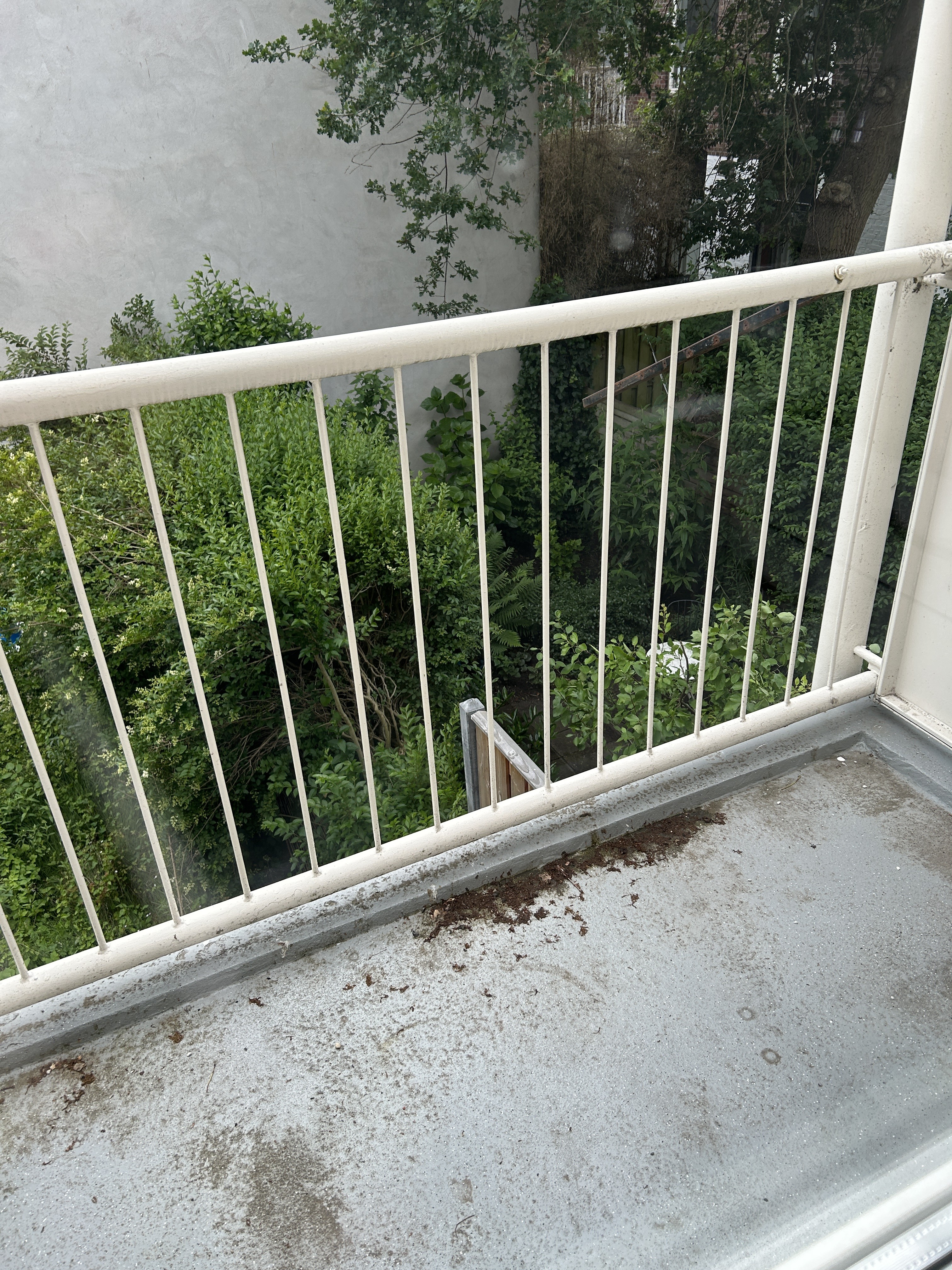 Hendrik Zwaardecroonstraat 117