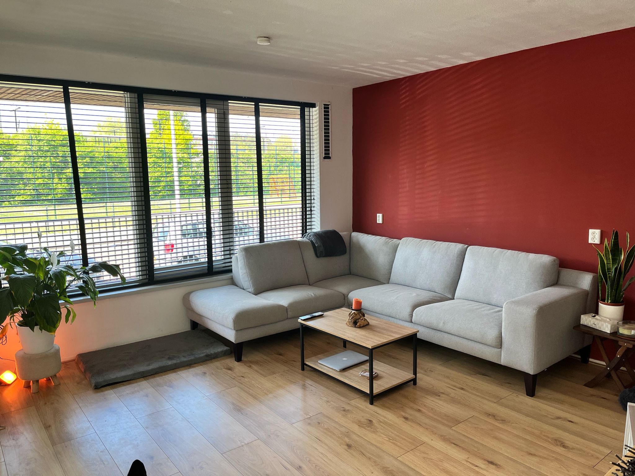 Hildebrandstraat 98F, 2524 VL Den Haag, Nederland