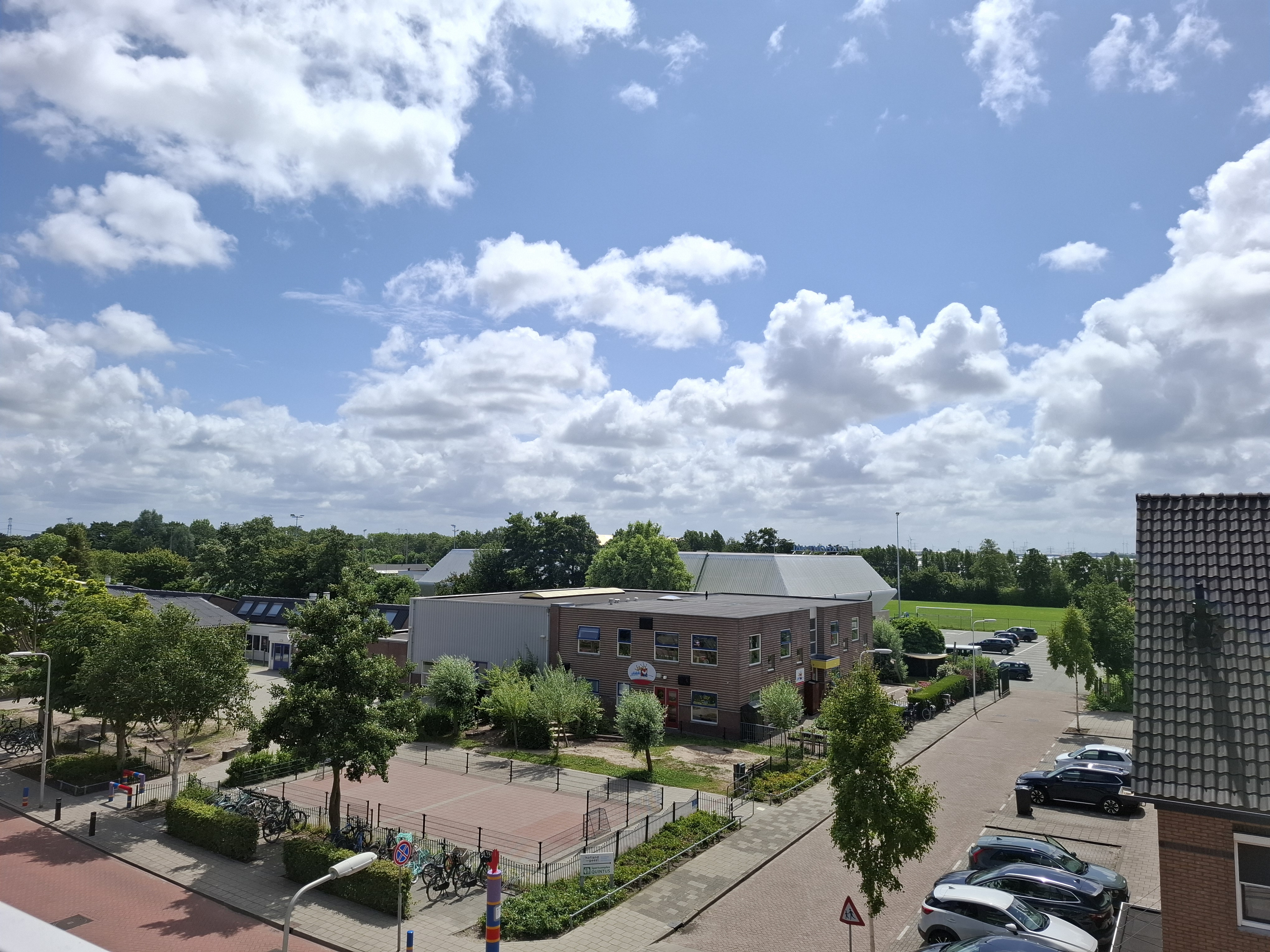 Gele Kwikstaart 53