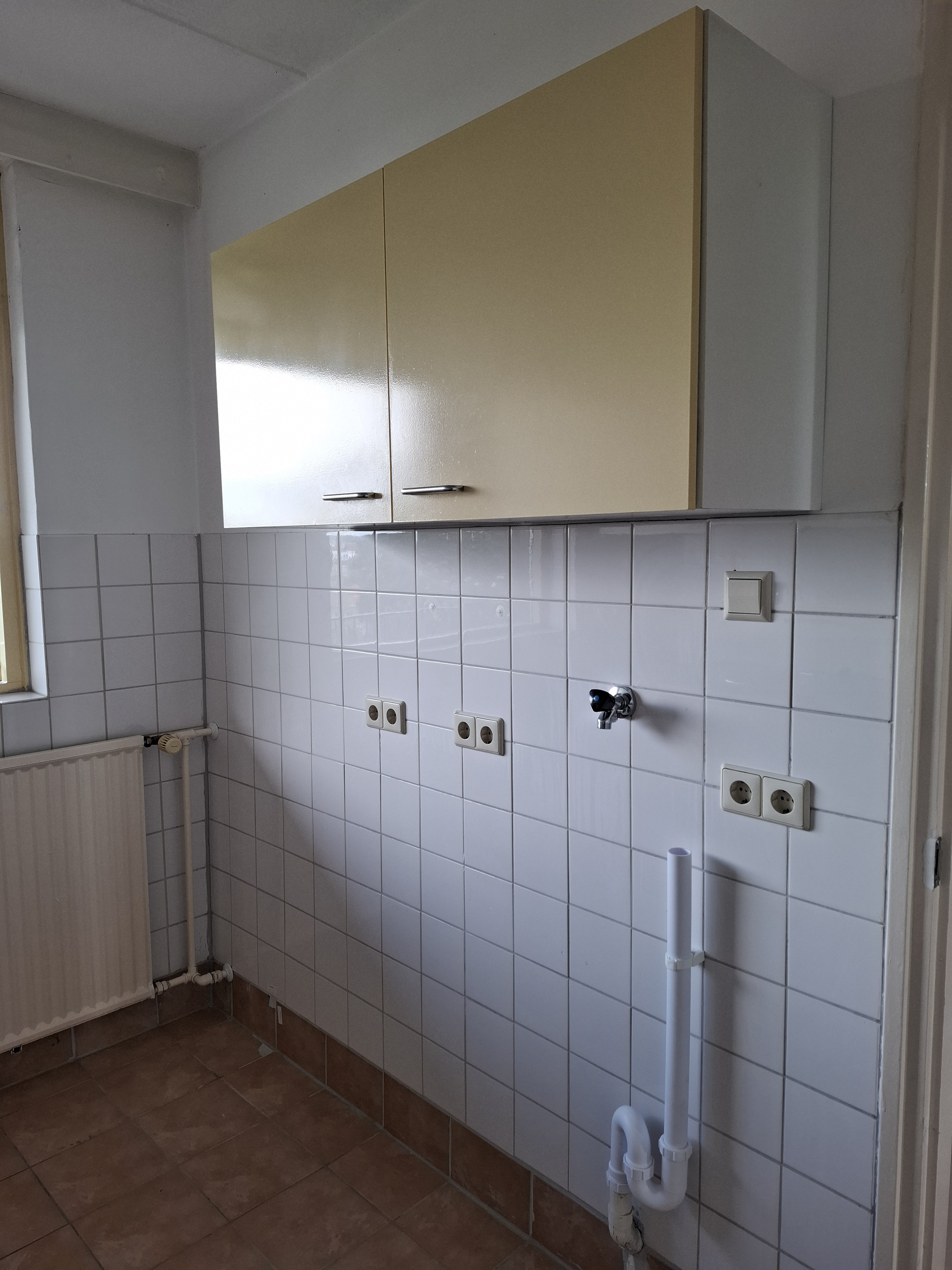 Gele Kwikstaart 53