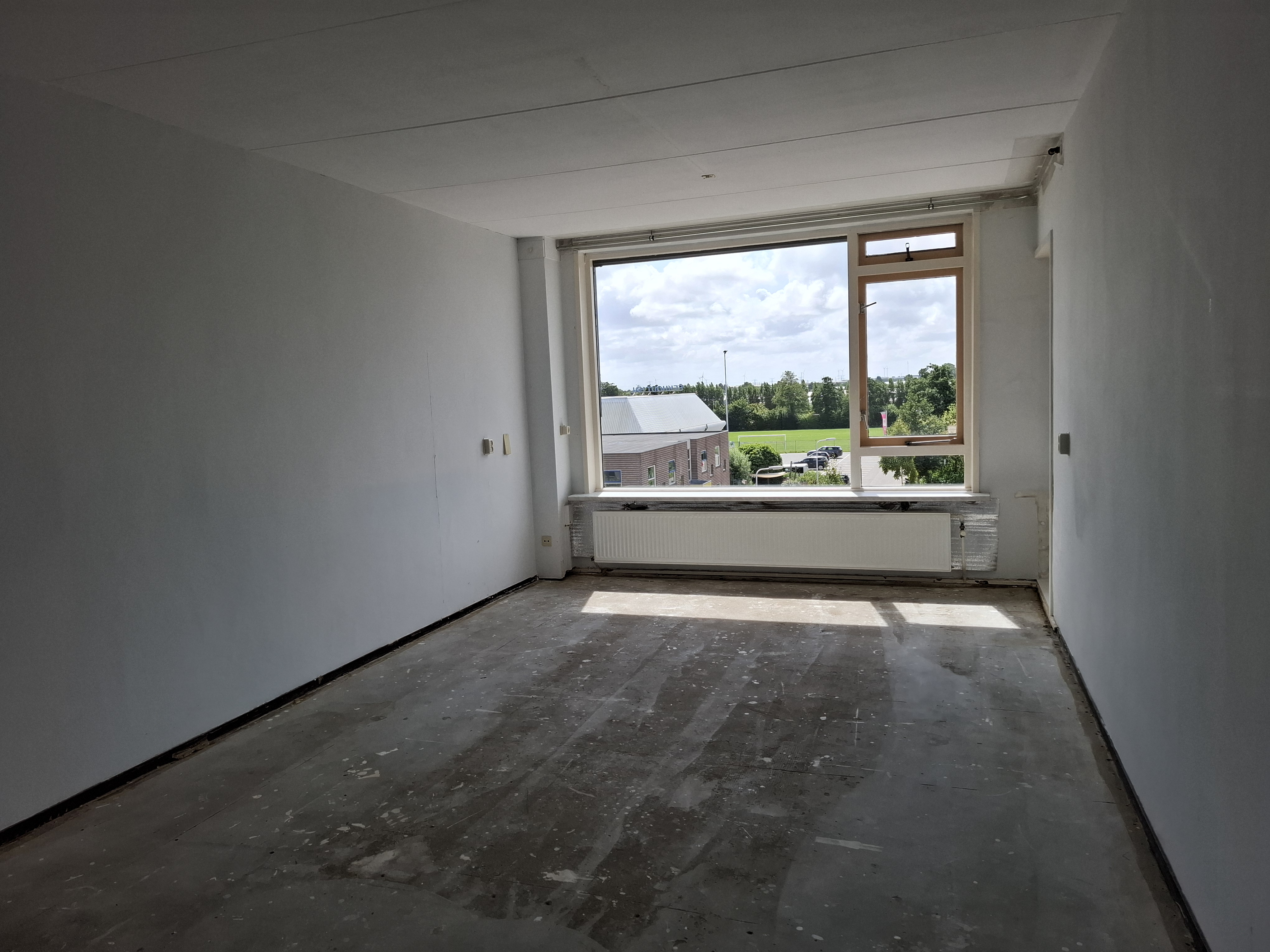 Gele Kwikstaart 53
