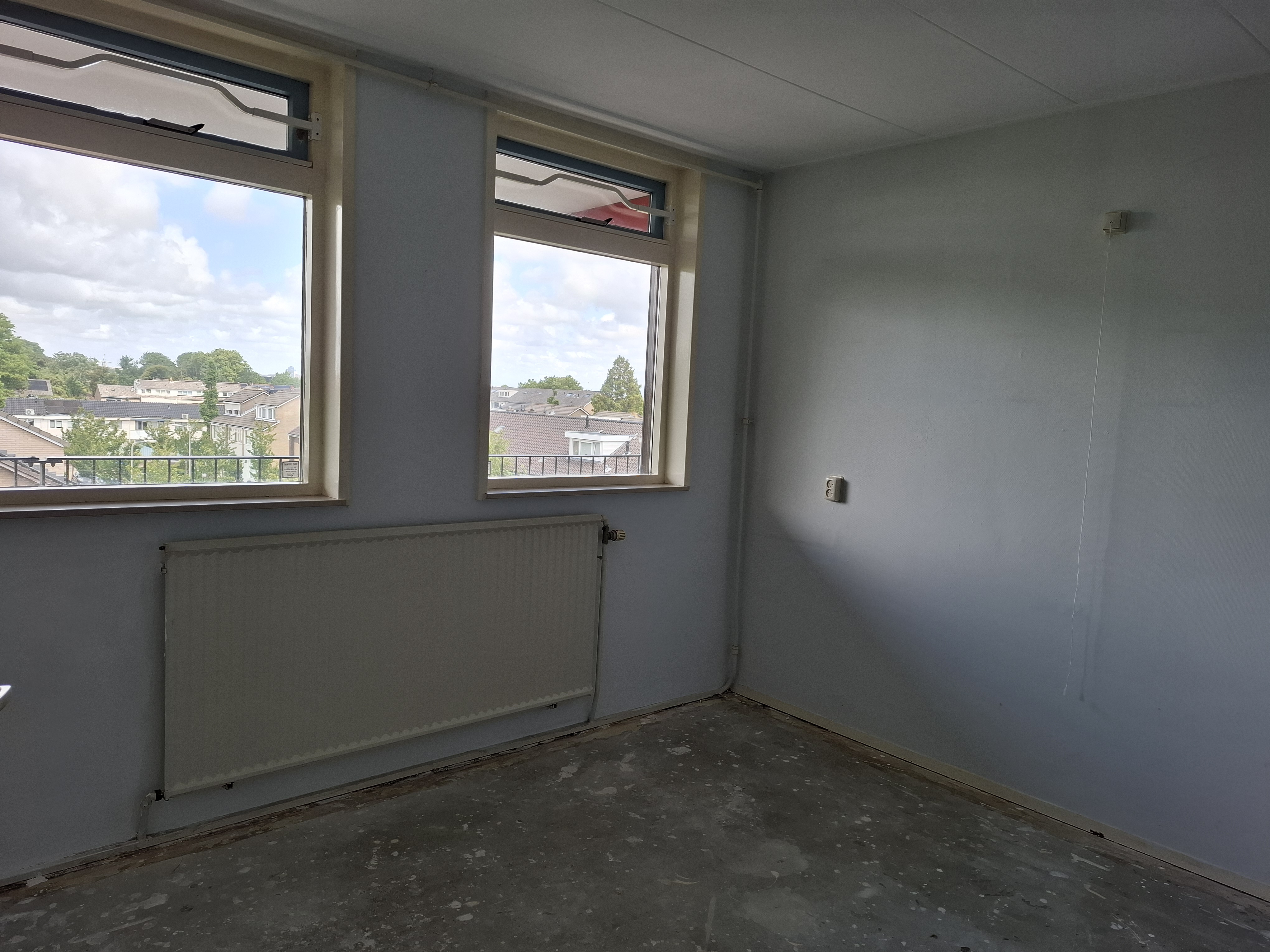 Gele Kwikstaart 53