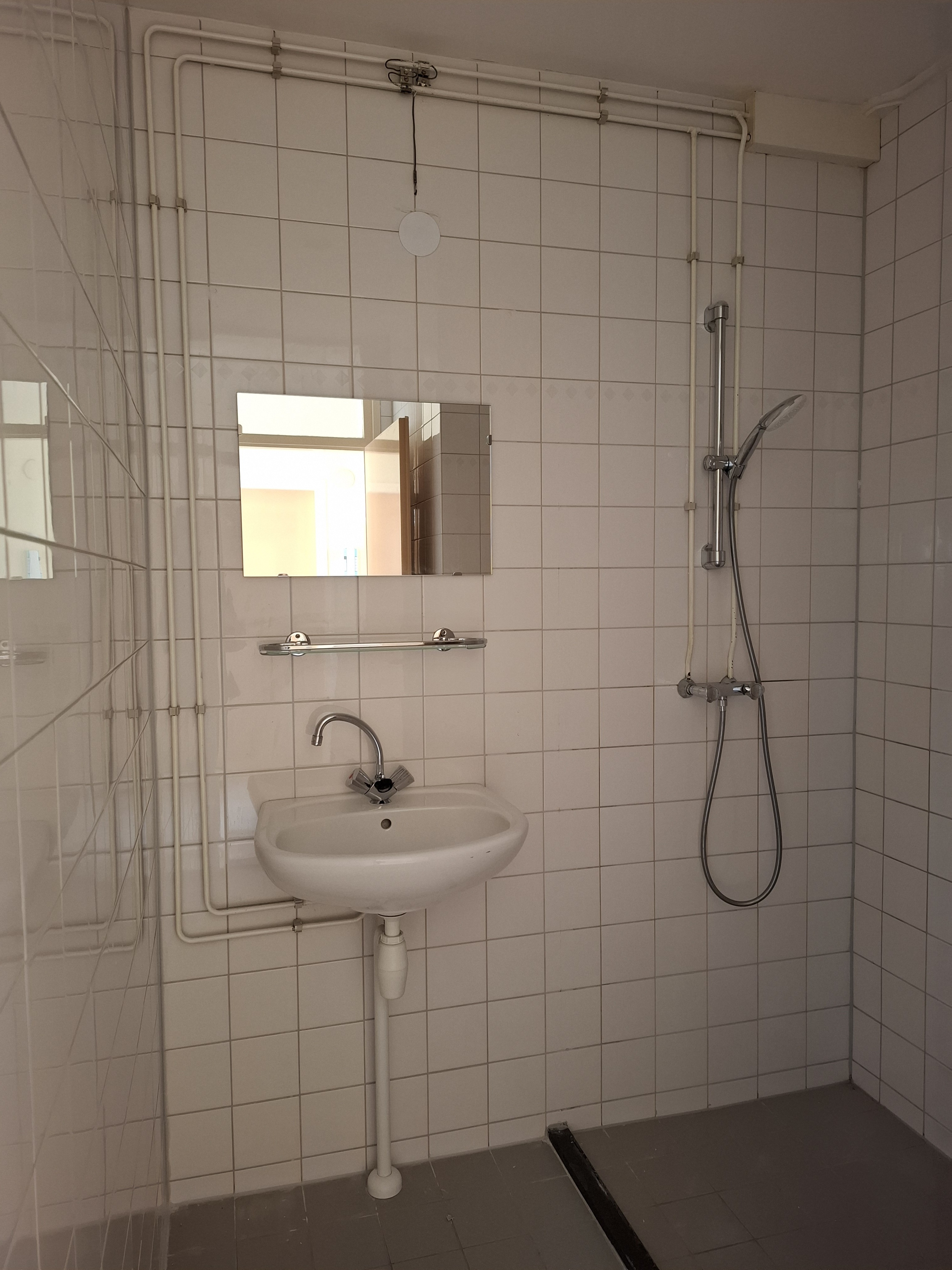 Gele Kwikstaart 53