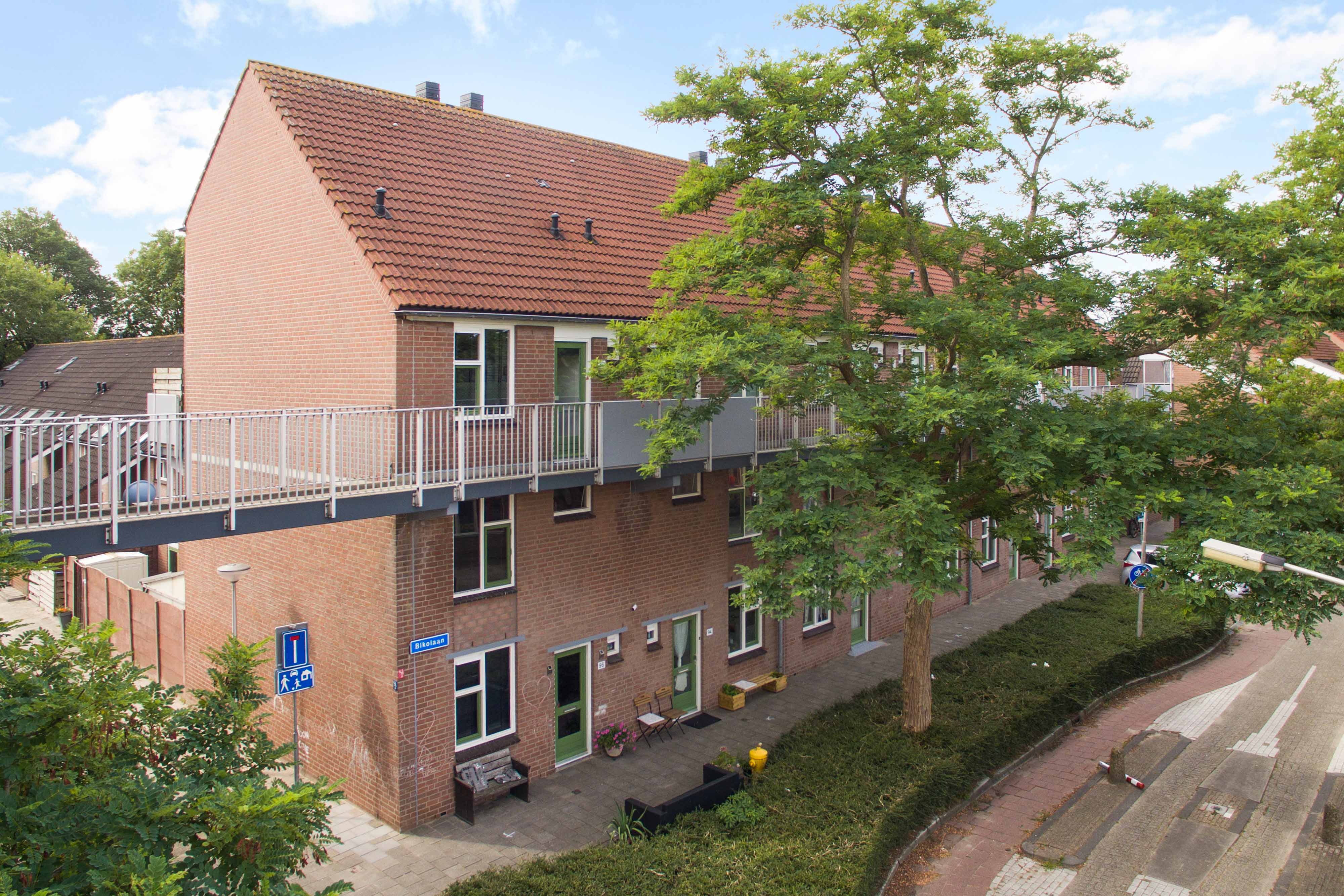 Bikolaan 82