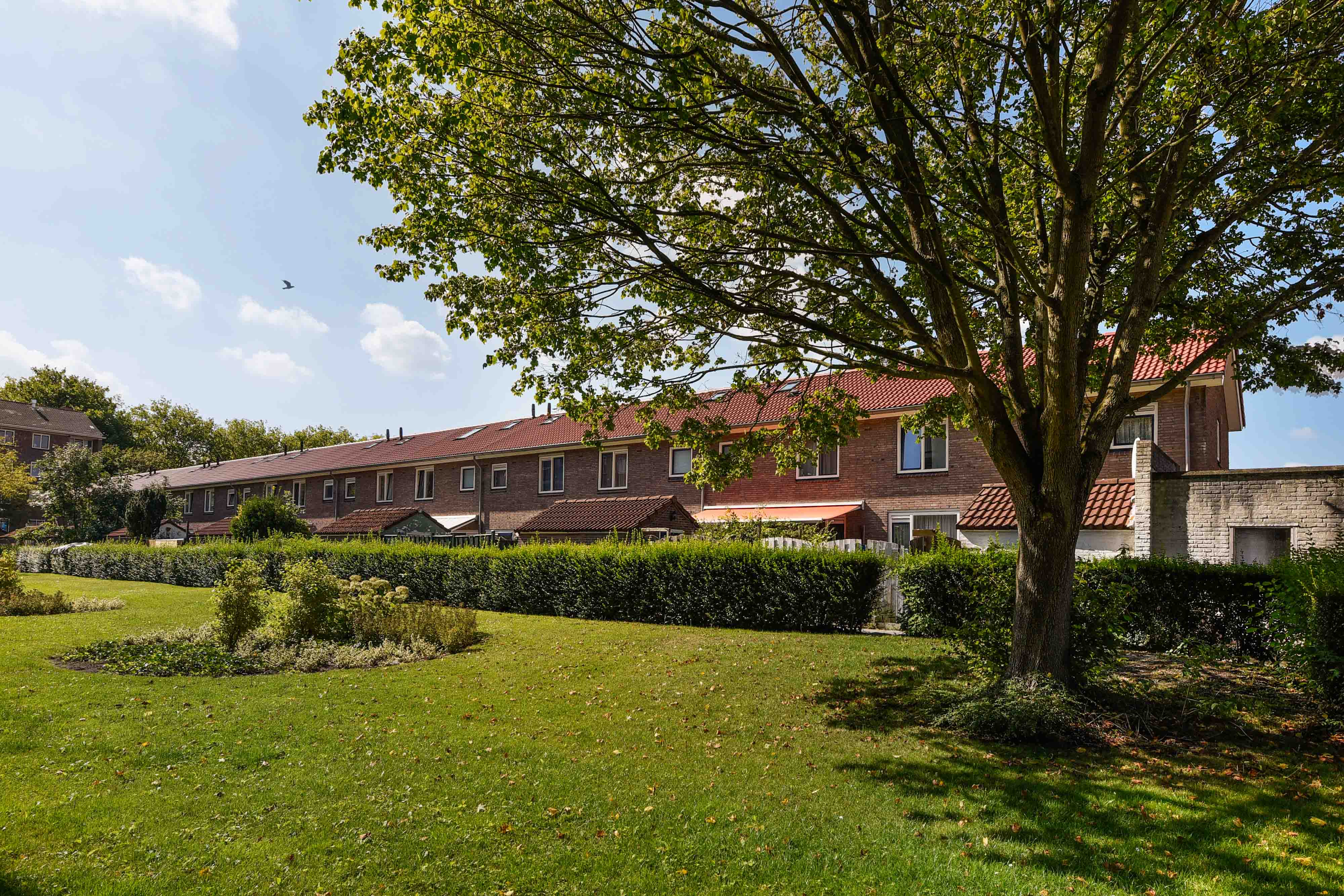 Ernst Casimirstraat 37