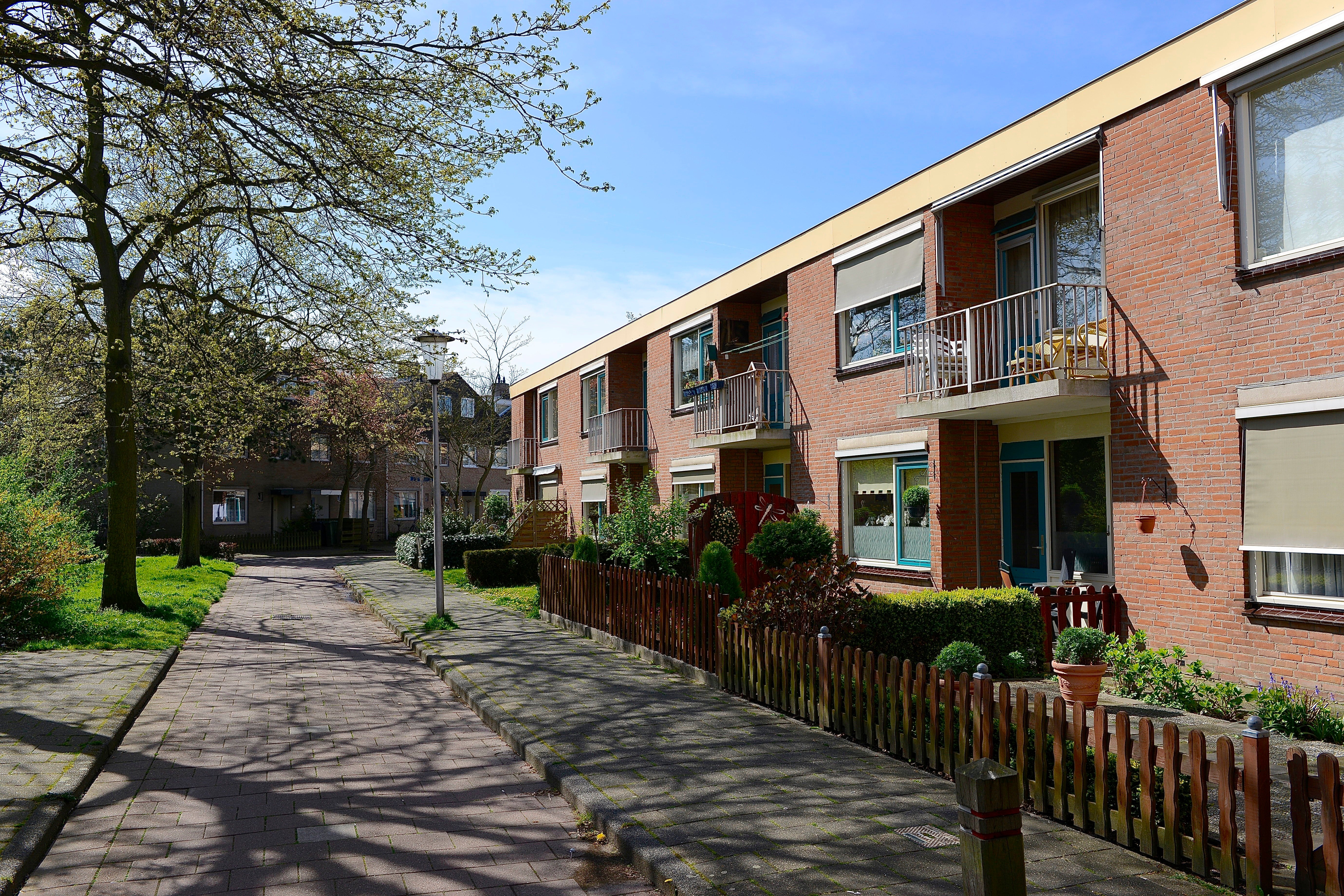 Topaas , 2691 's-Gravenzande, Nederland