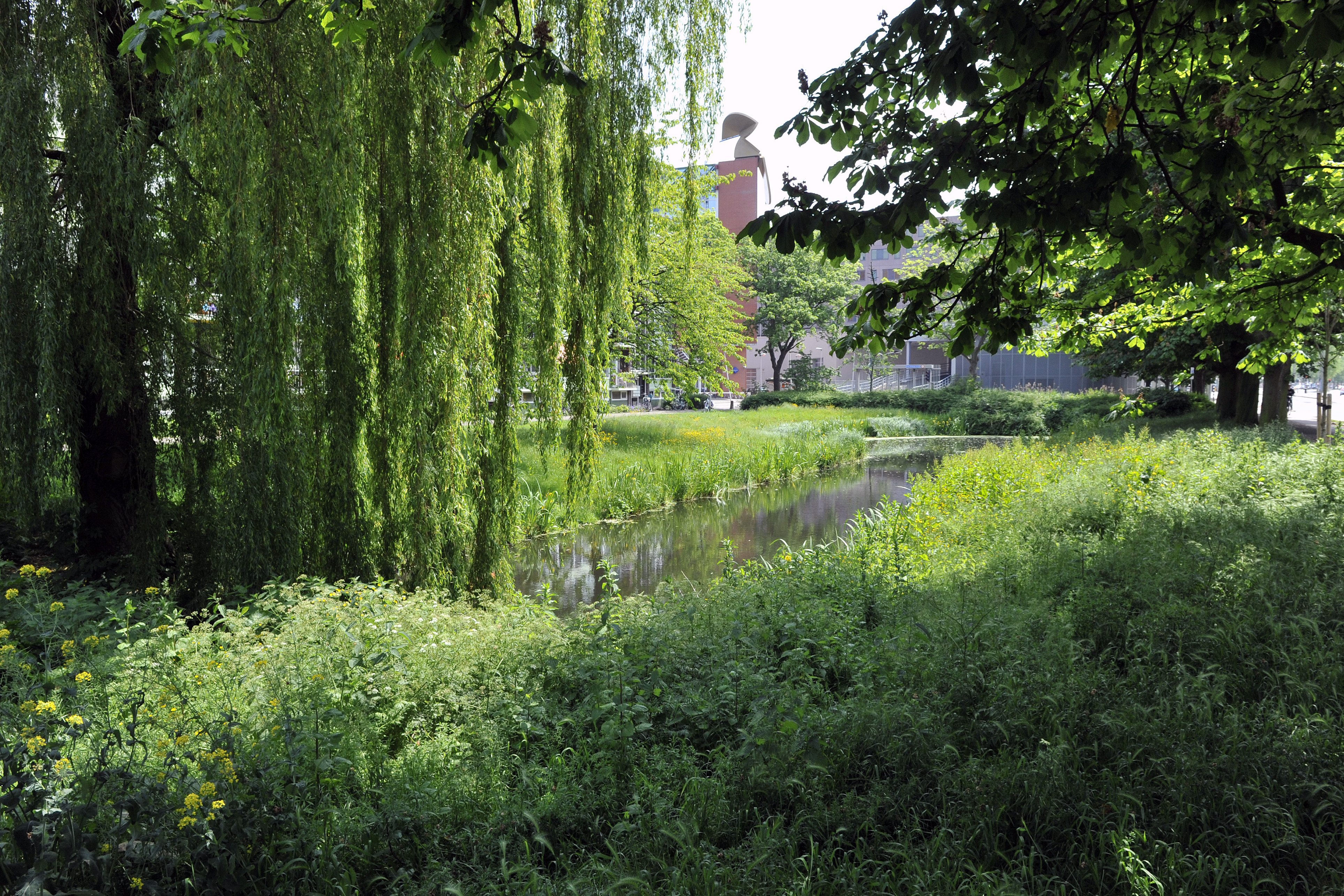 Frank van Borselenstraat 34