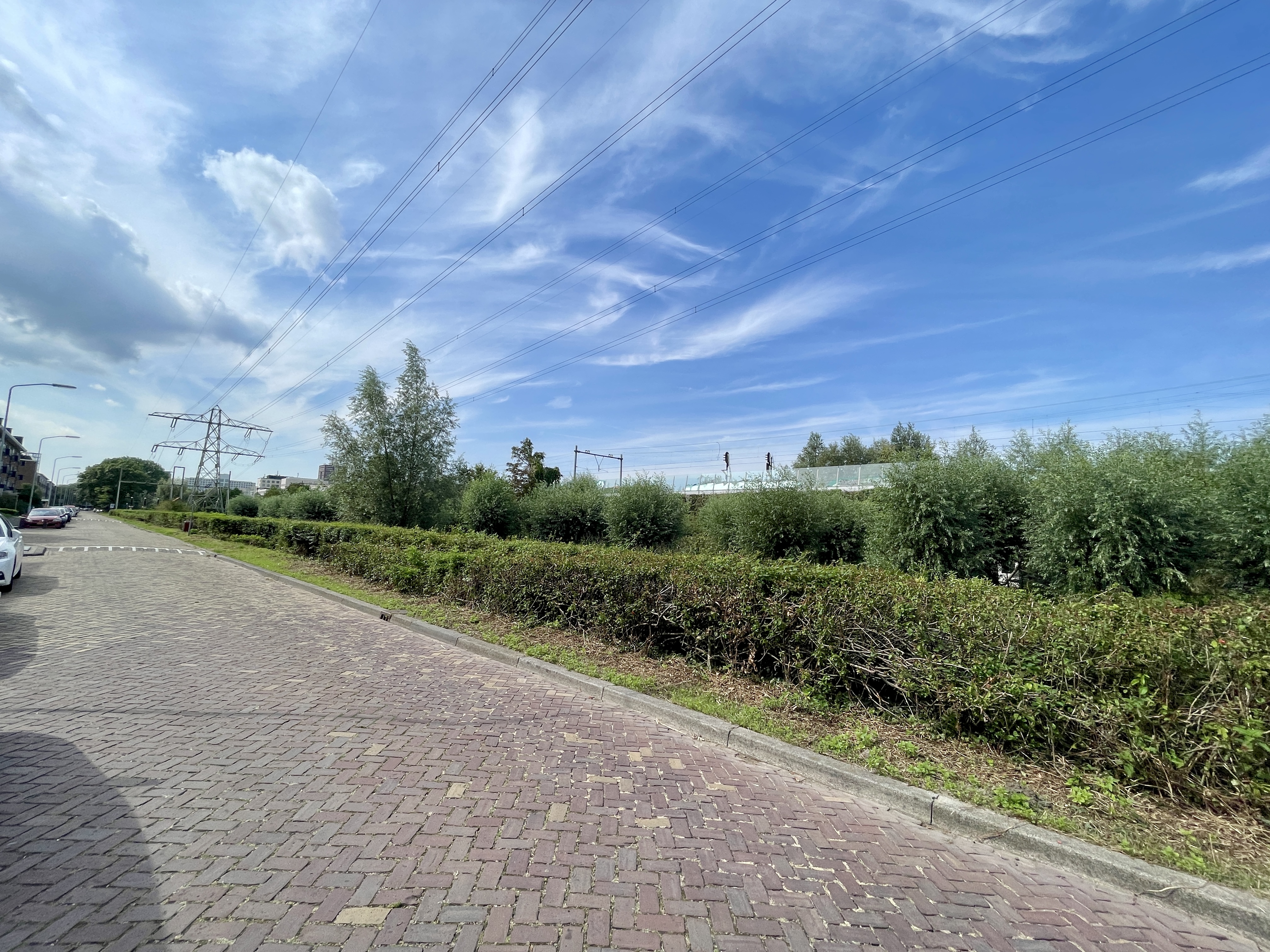 Nicolaas Beetslaan 250