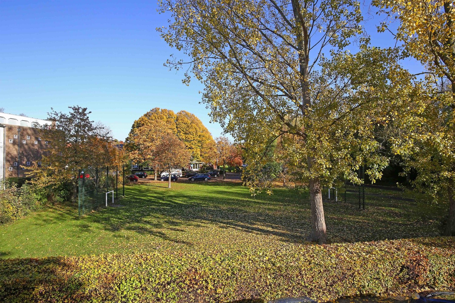 Cort van der Lindenstraat 51