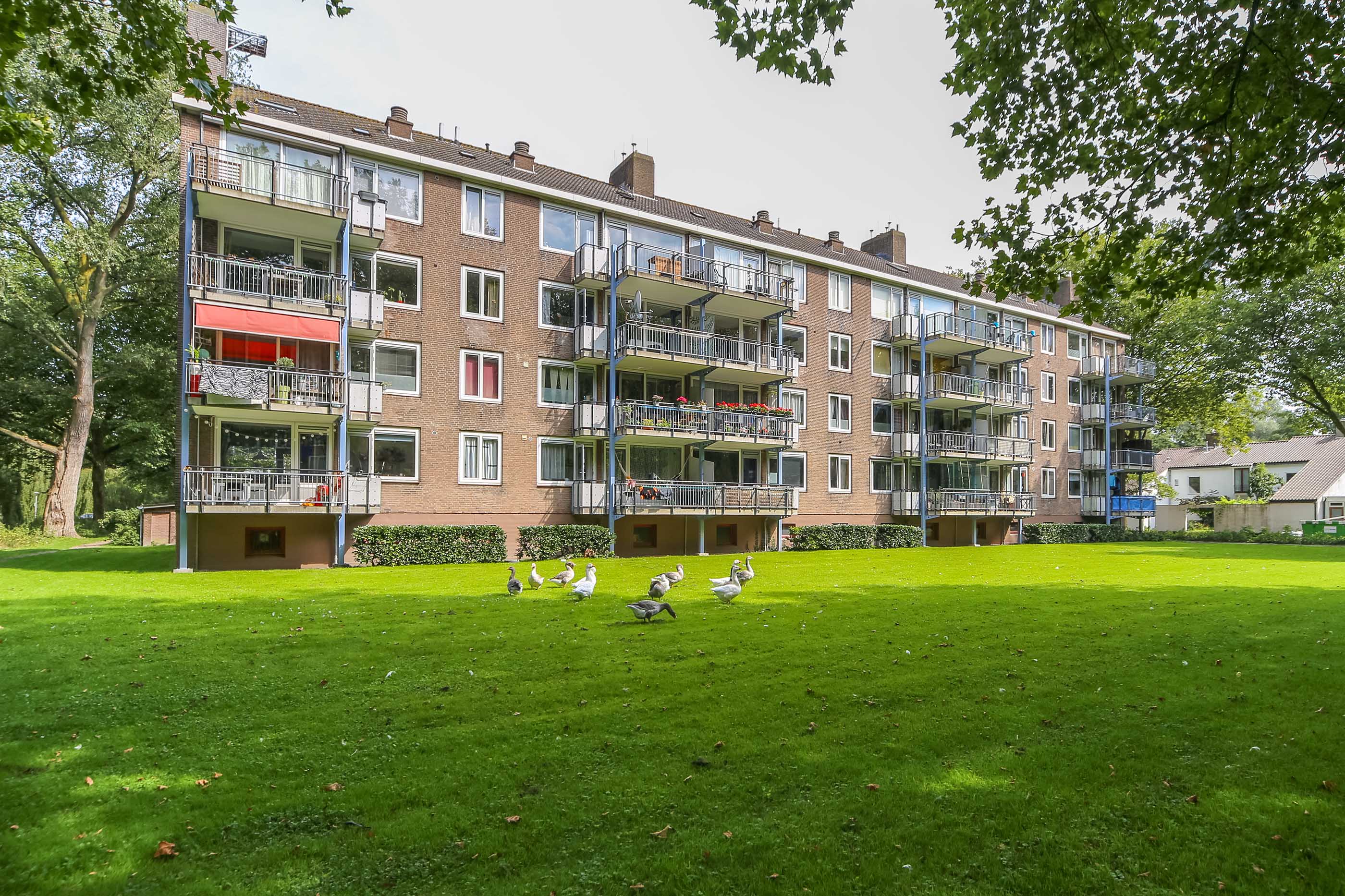 Professor Evertslaan 111