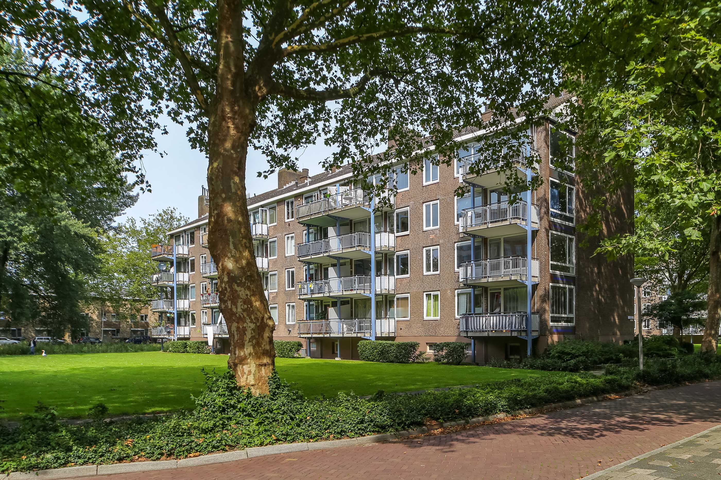 Professor Evertslaan 111