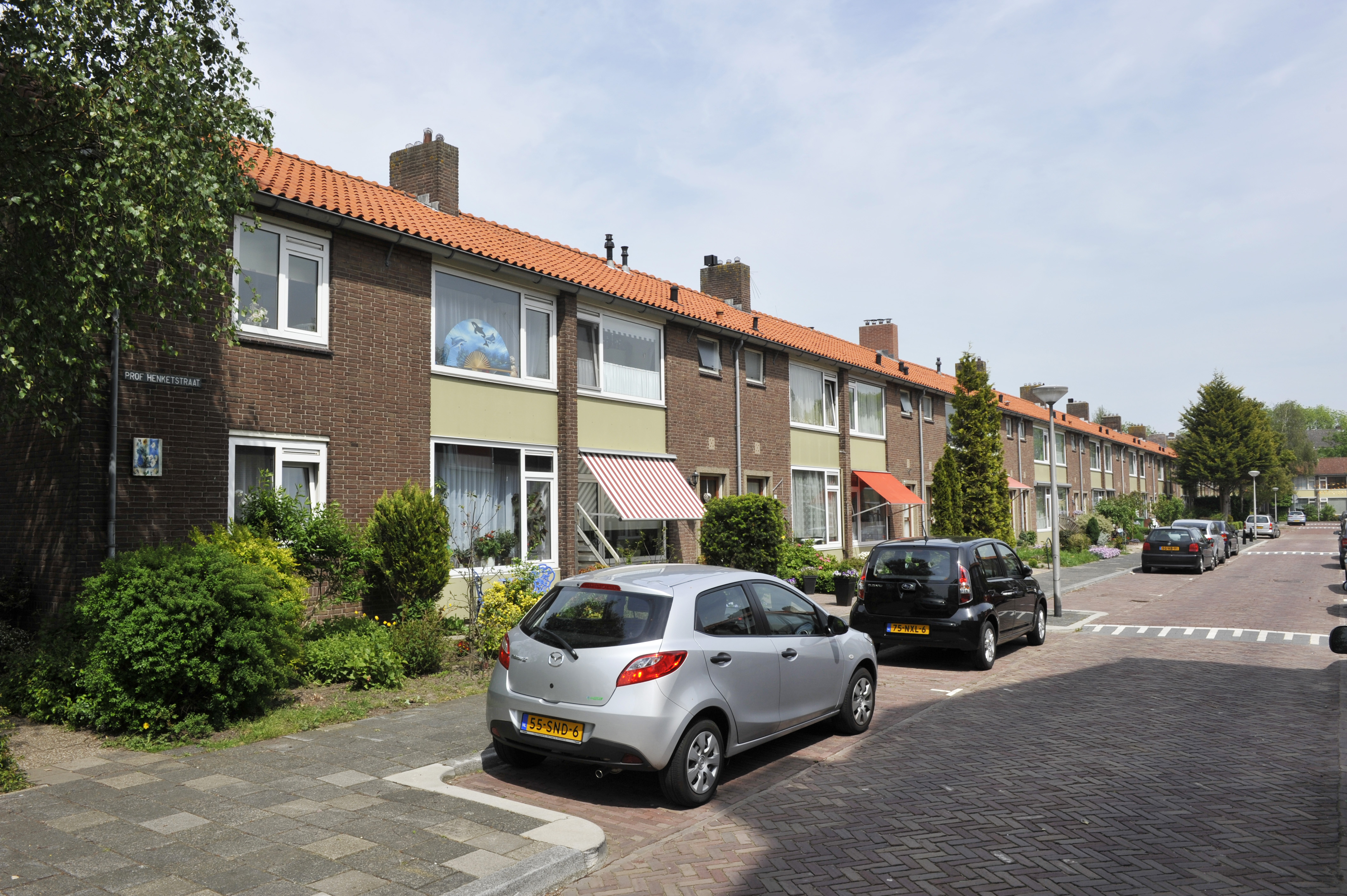 Professor Henketstraat 81