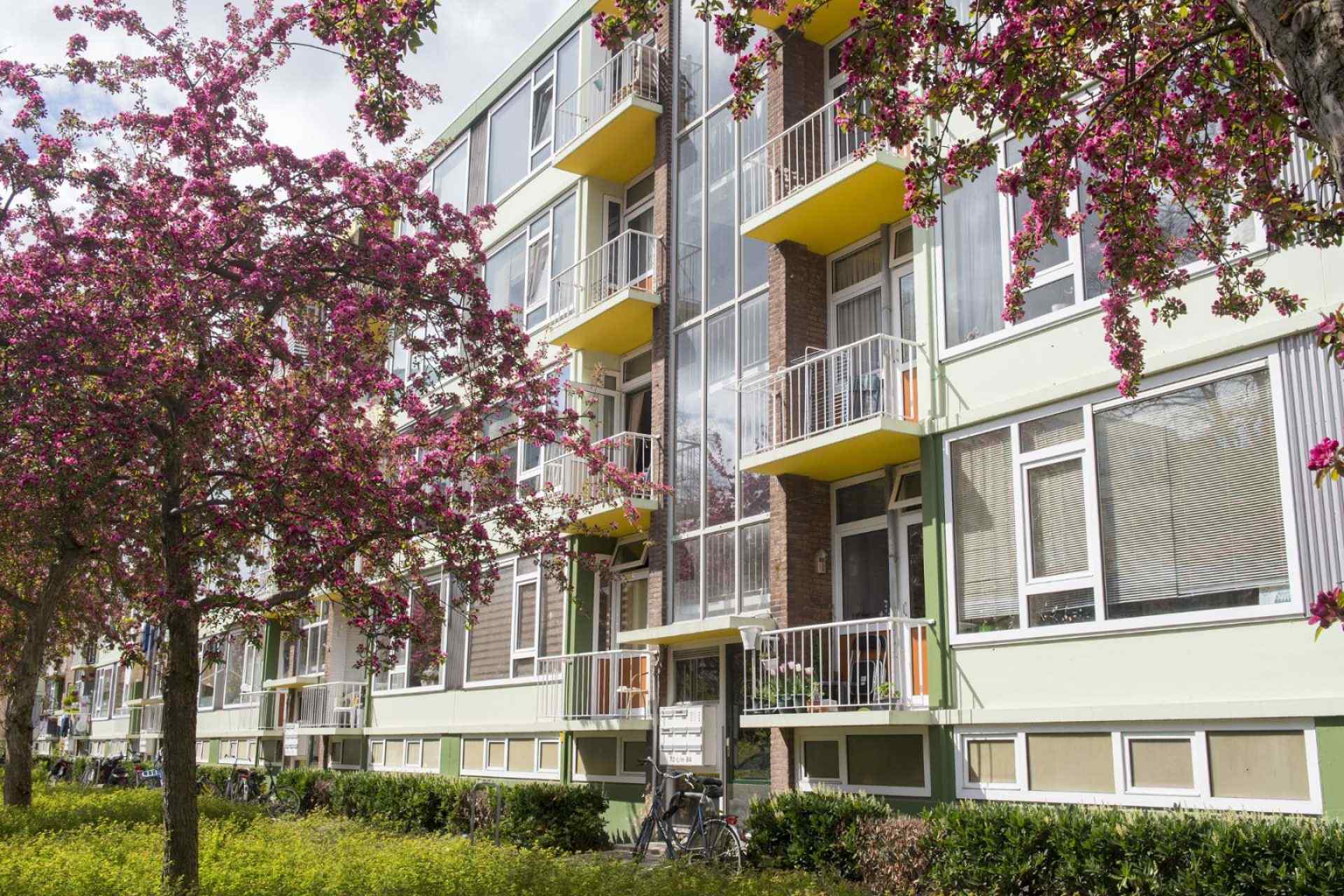 Jacoba van Beierenlaan 146