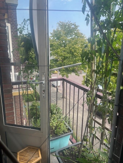 Roemer Visscherstraat 341