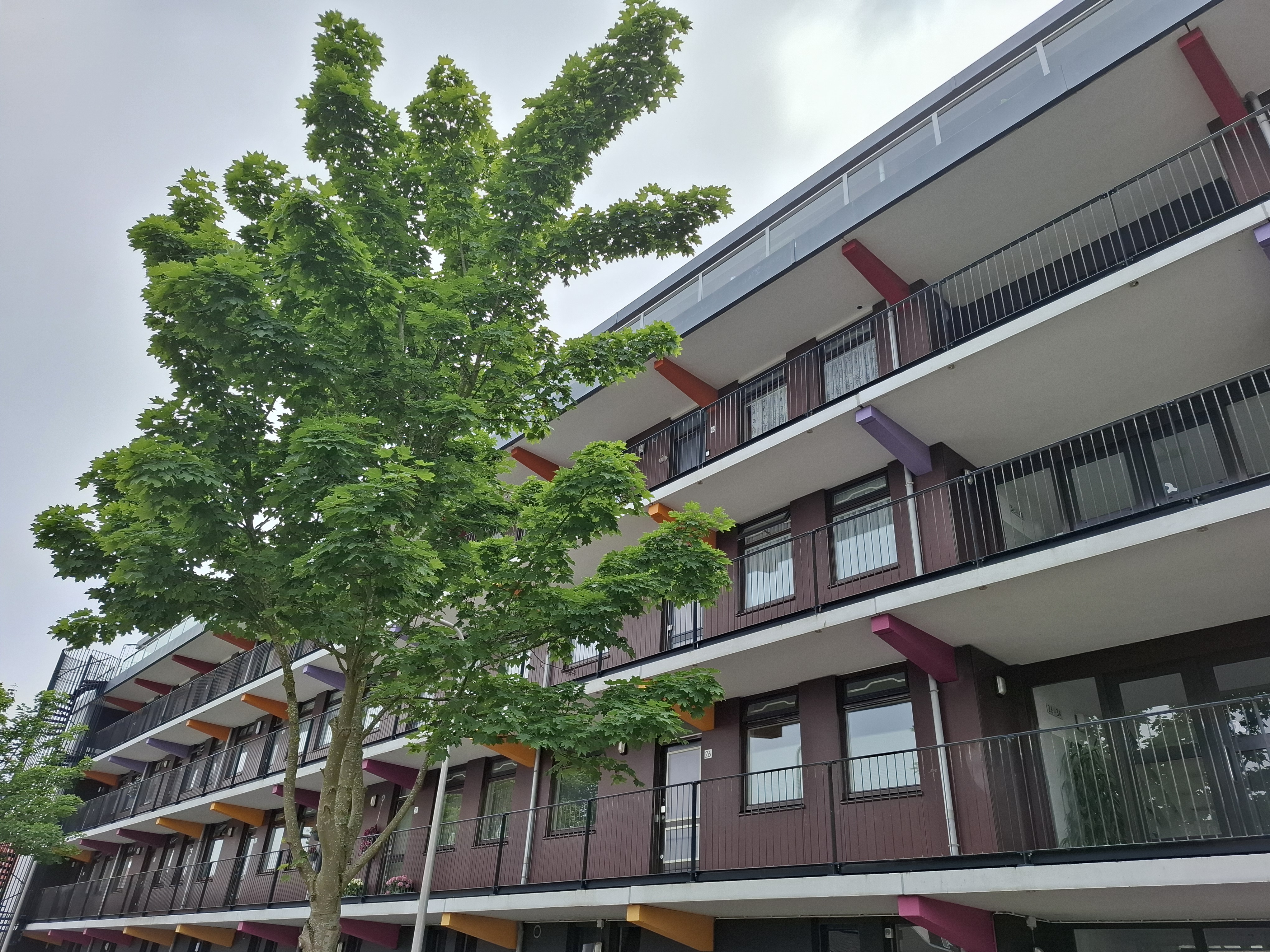 Gele Kwikstaart 26, 2295 NS Kwintsheul, Nederland