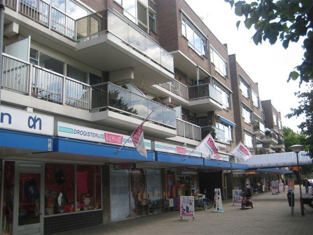 Hildo Kroplaan 72, 2552 XT Den Haag, Nederland